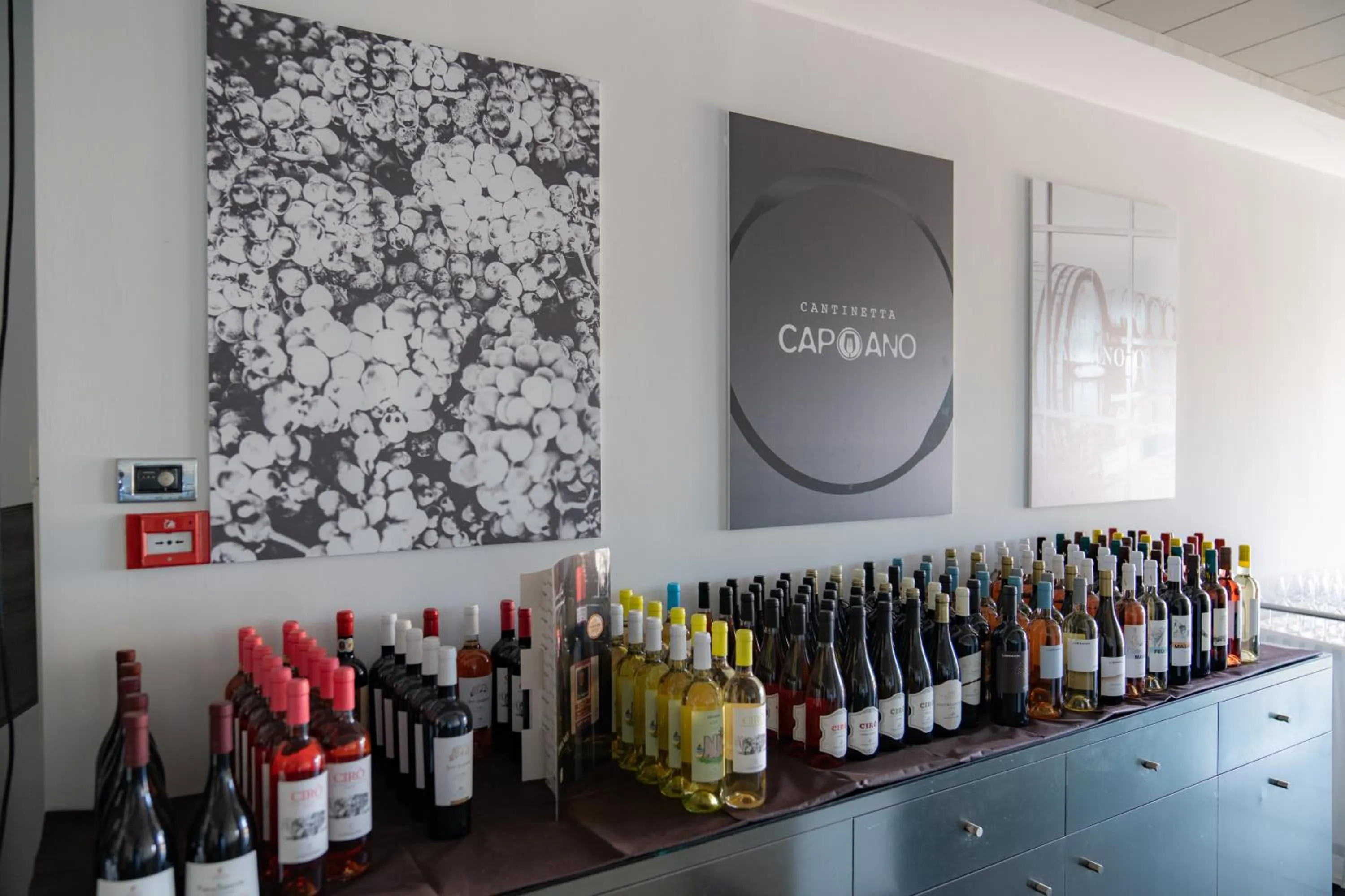 Alcoholic drinks in Hotel Napoleon