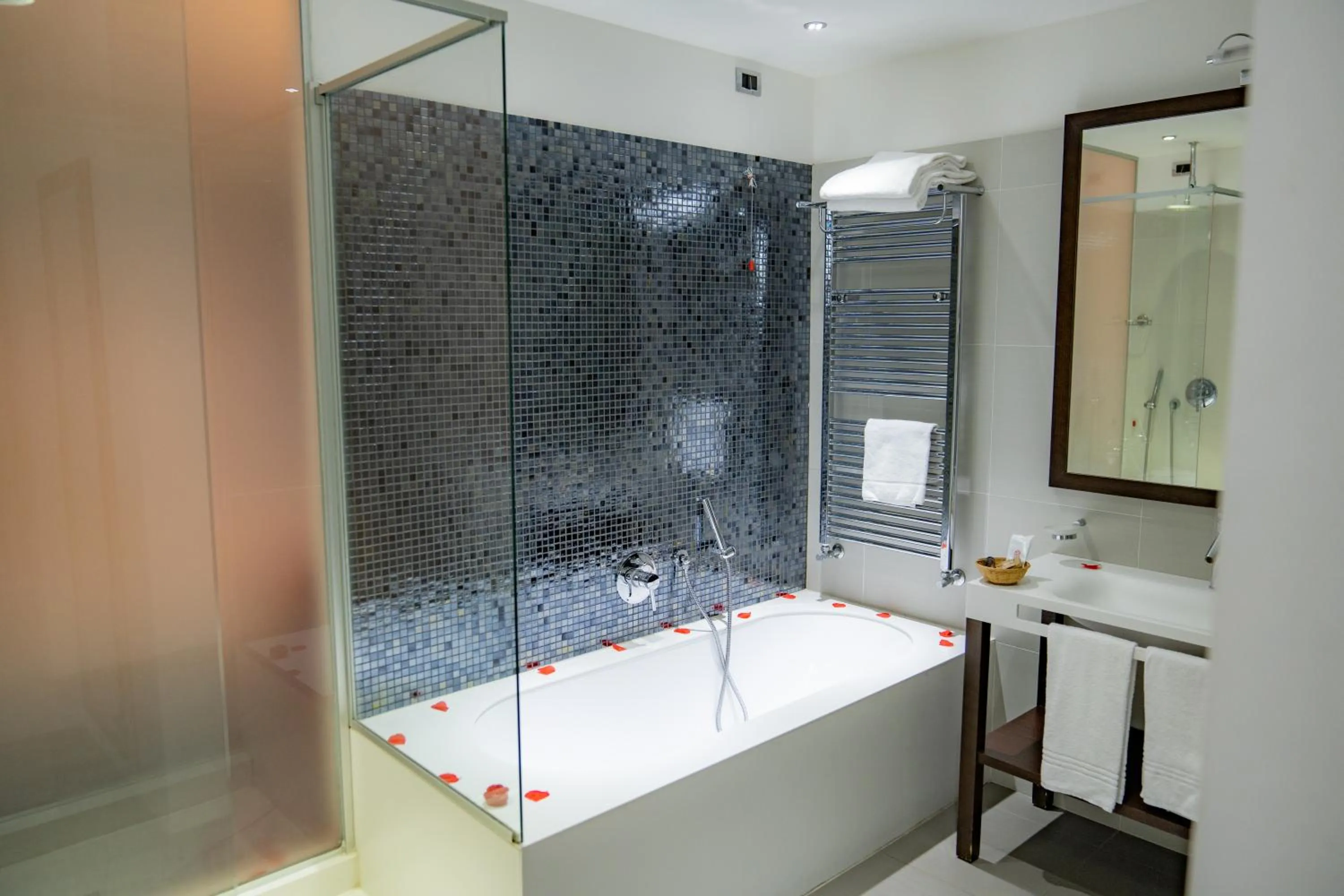 Shower in Hotel Napoleon