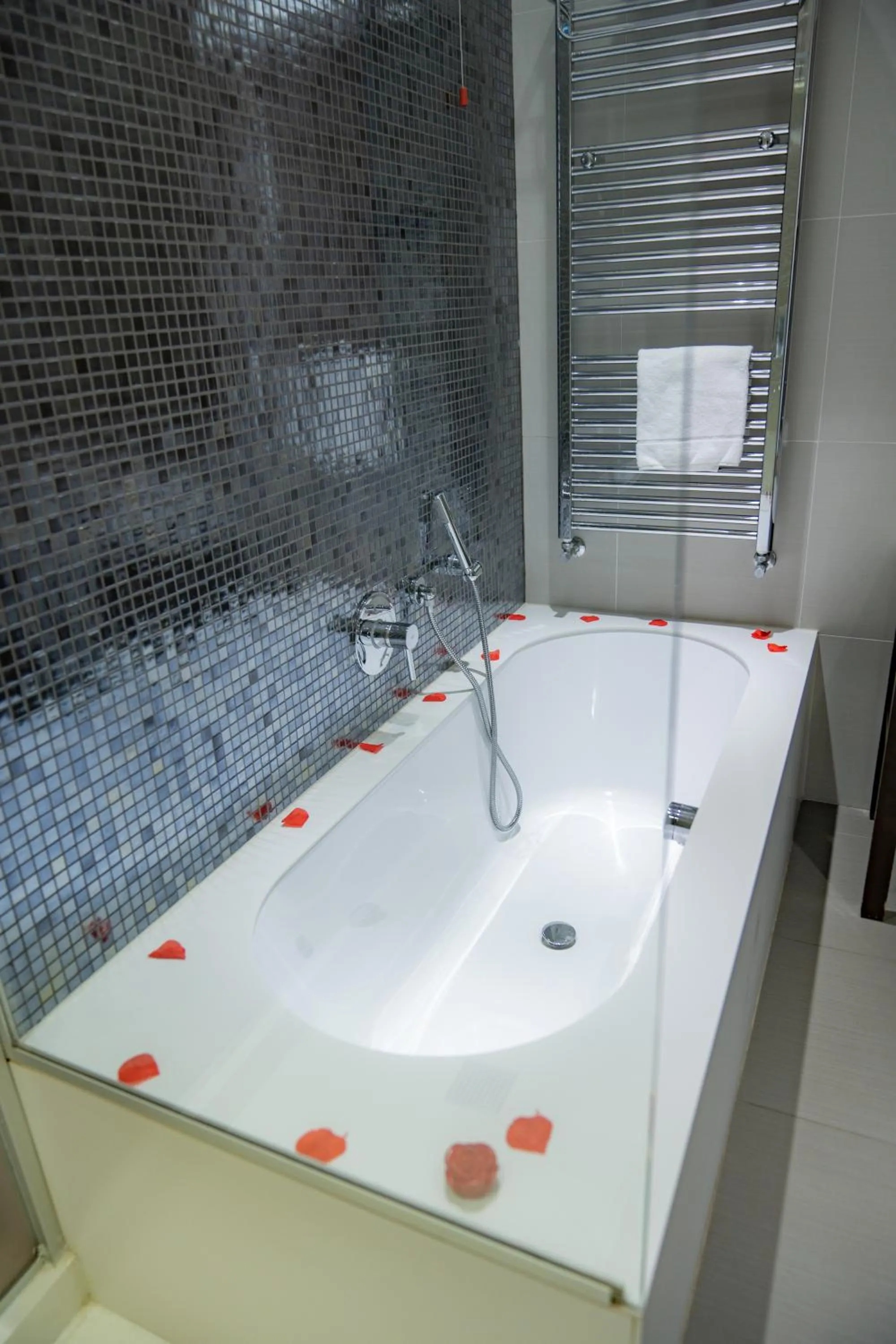 Bath in Hotel Napoleon