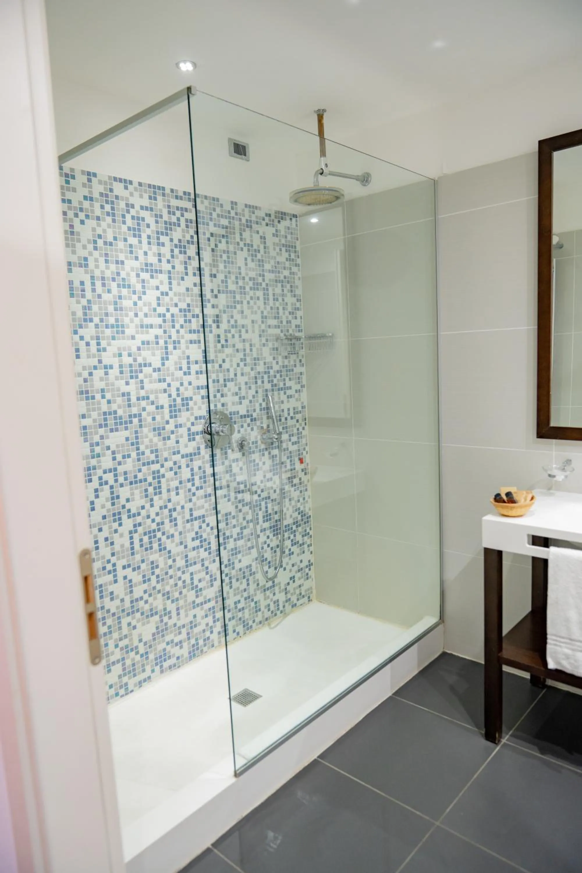 Shower in Hotel Napoleon