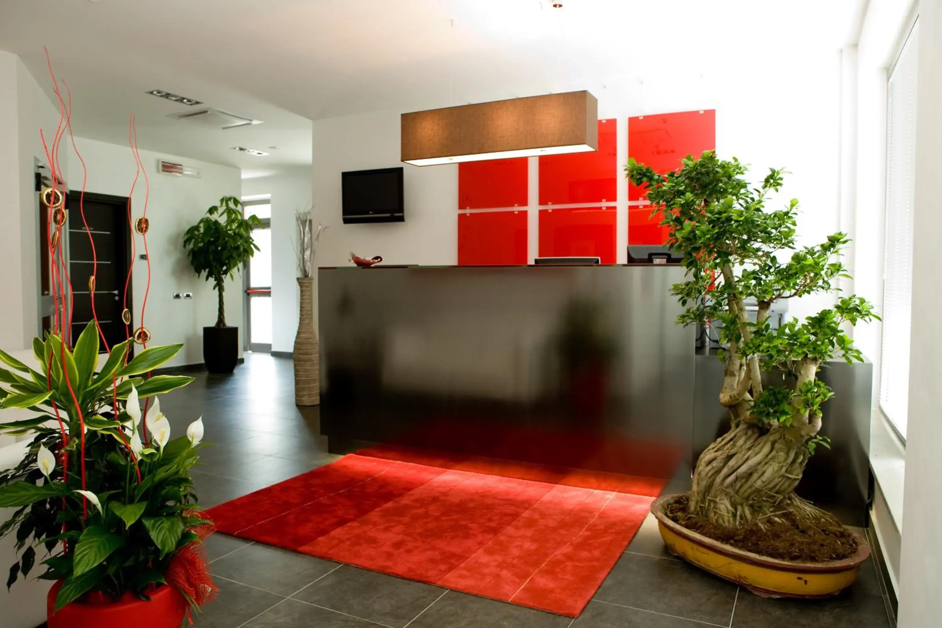 Lobby or reception in Hotel Napoleon Lobby or reception in Hotel Napoleon