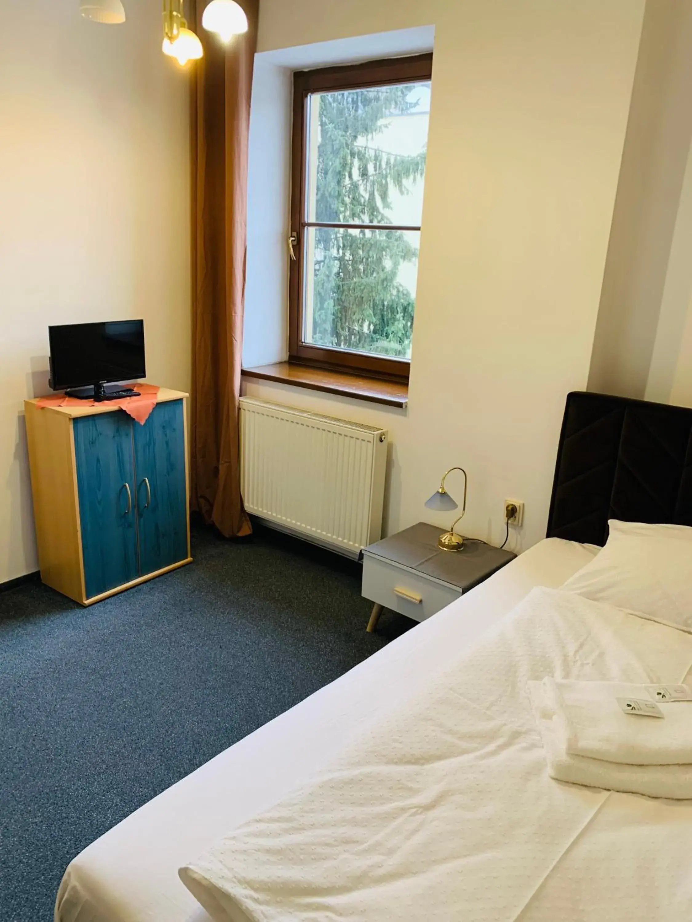 Single Room in Hotel Slovan Single Room in Hotel Slovan