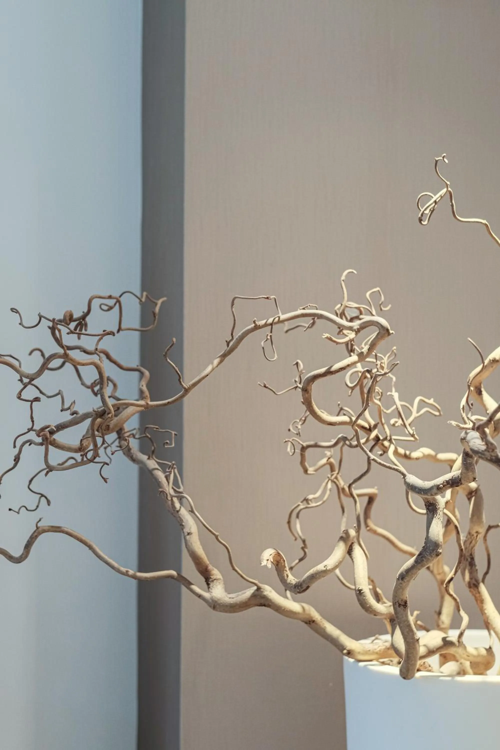 Living room in Maison R Boutique