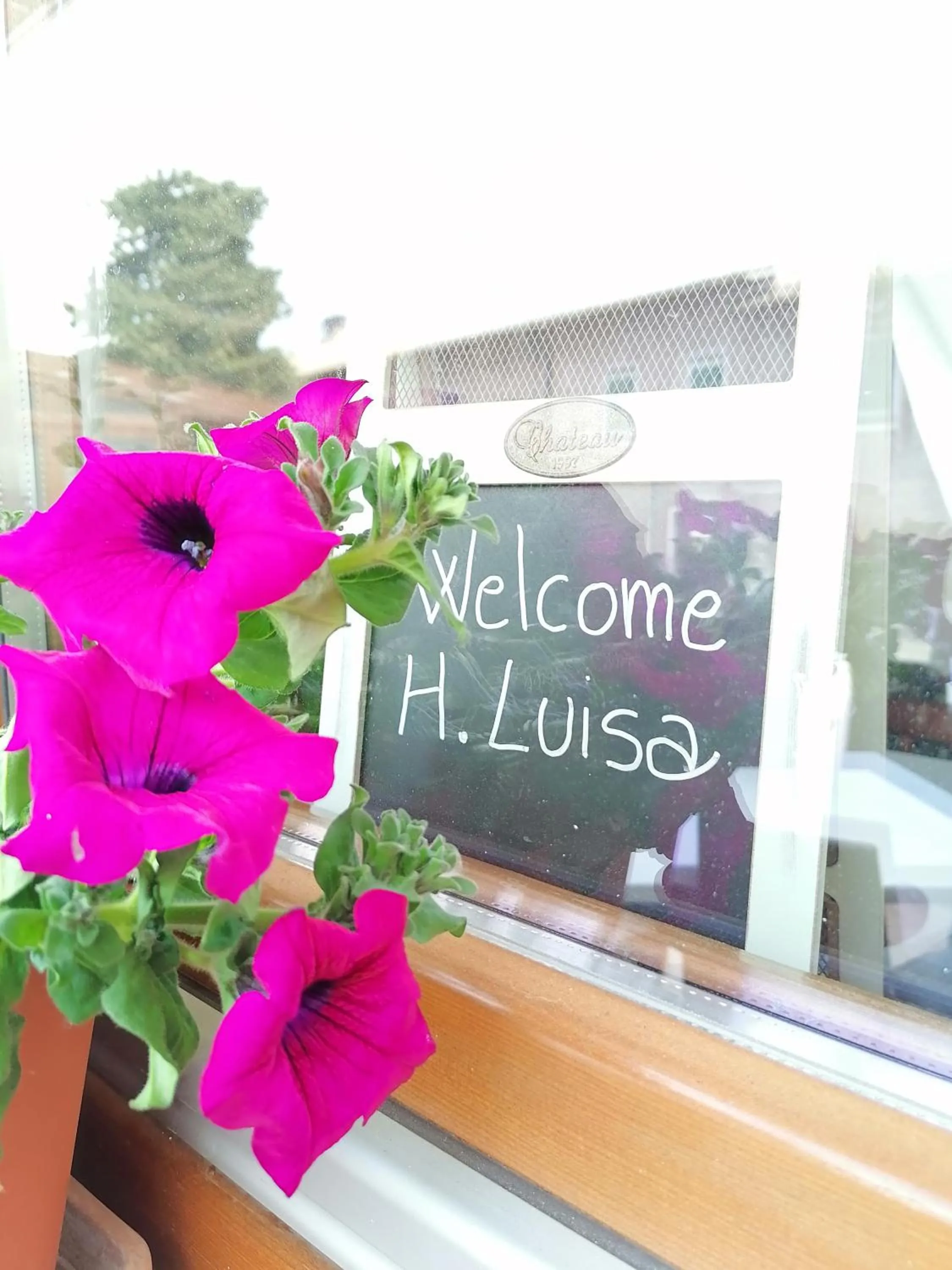 Hotel Luisa