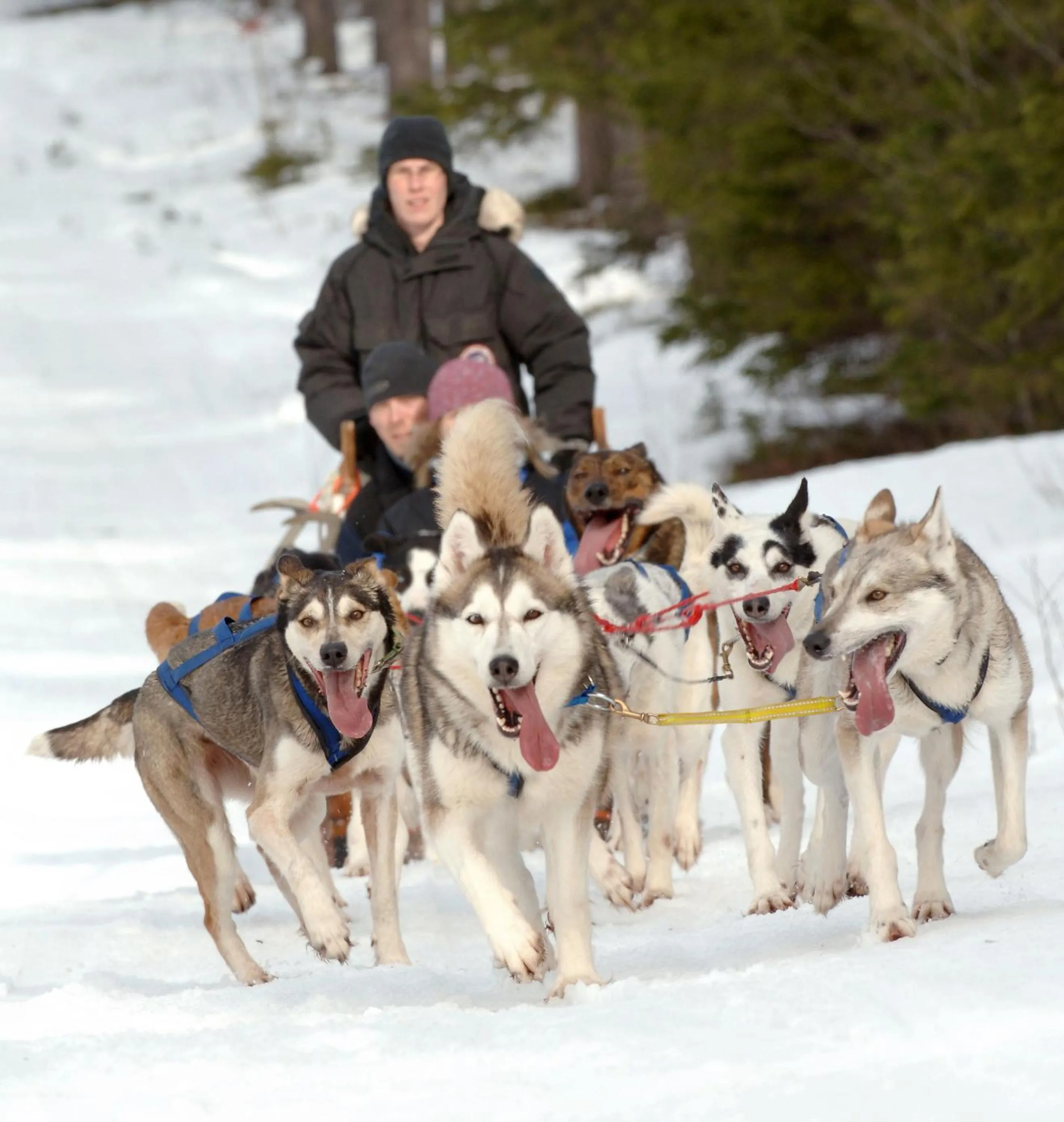 Sports in Pite Havsbad Piteå