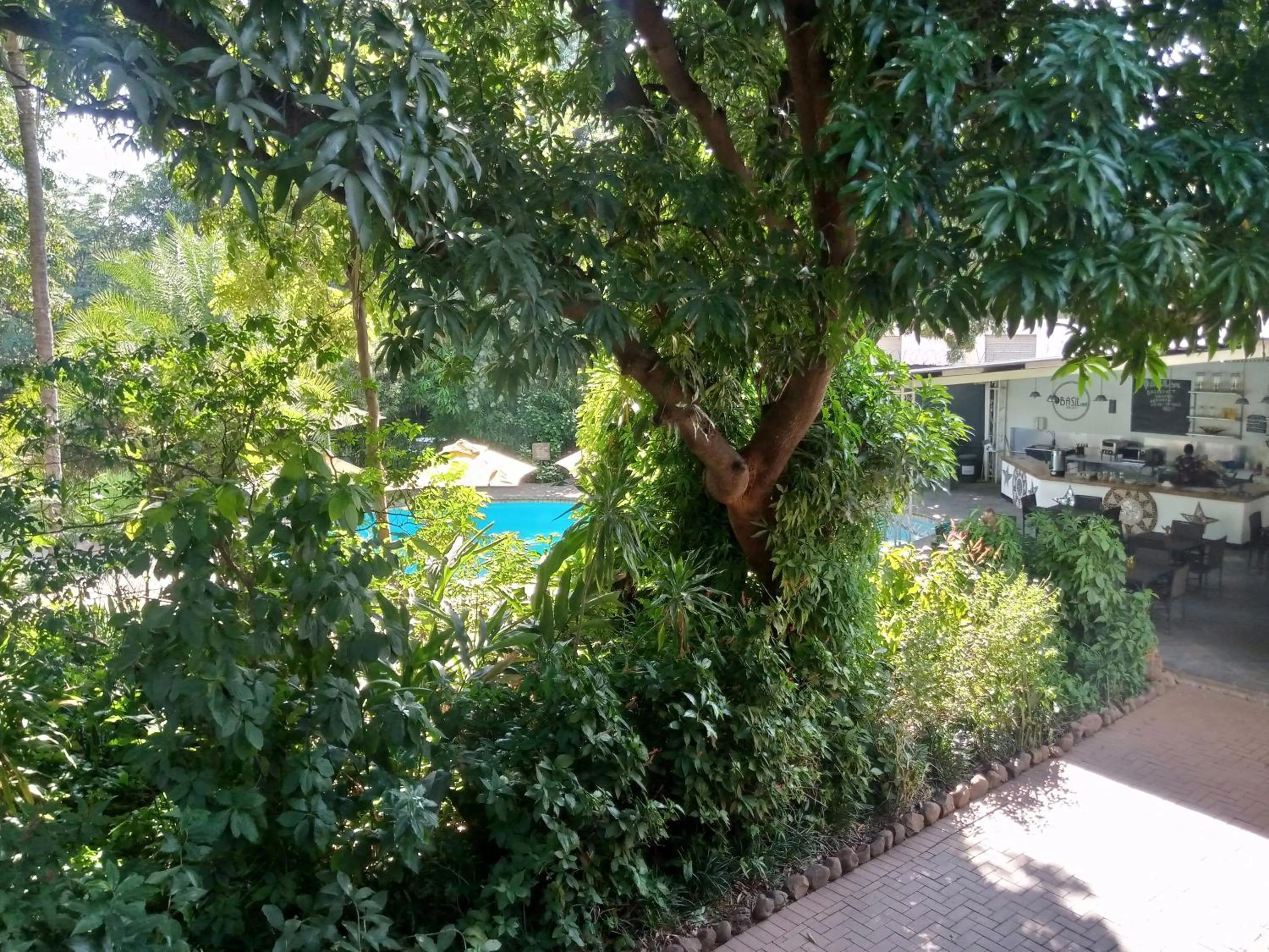 Spring in Fawlty Towers Accommodation & Activities