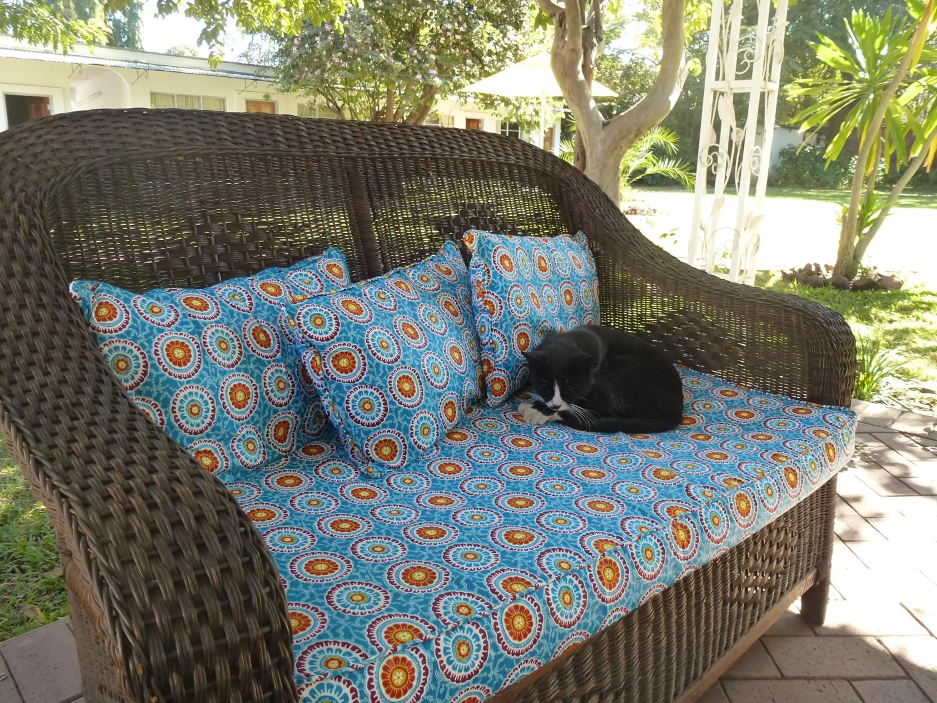 Day in Fawlty Towers Accommodation & Activities