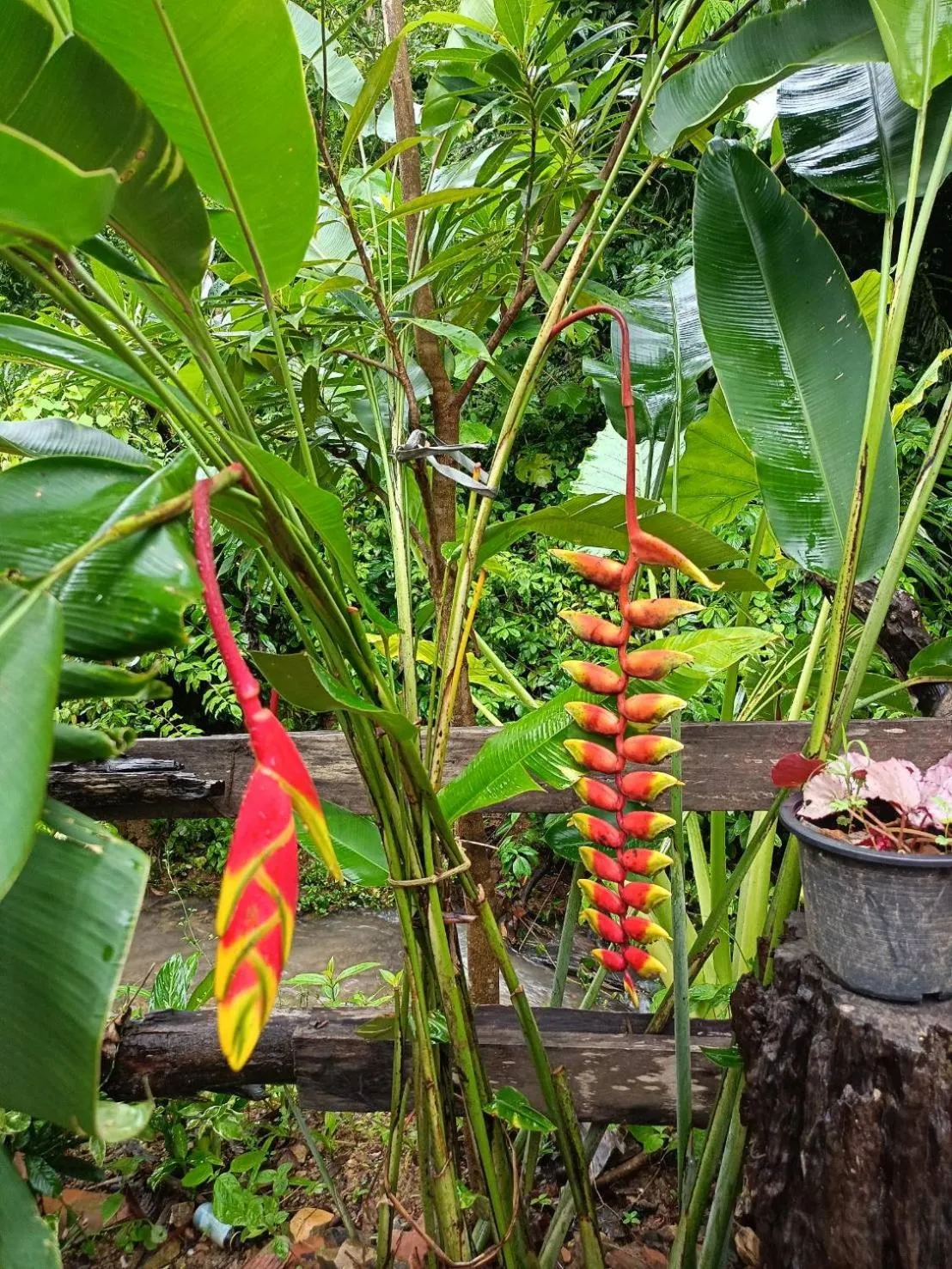 Dahla Lanta Hut