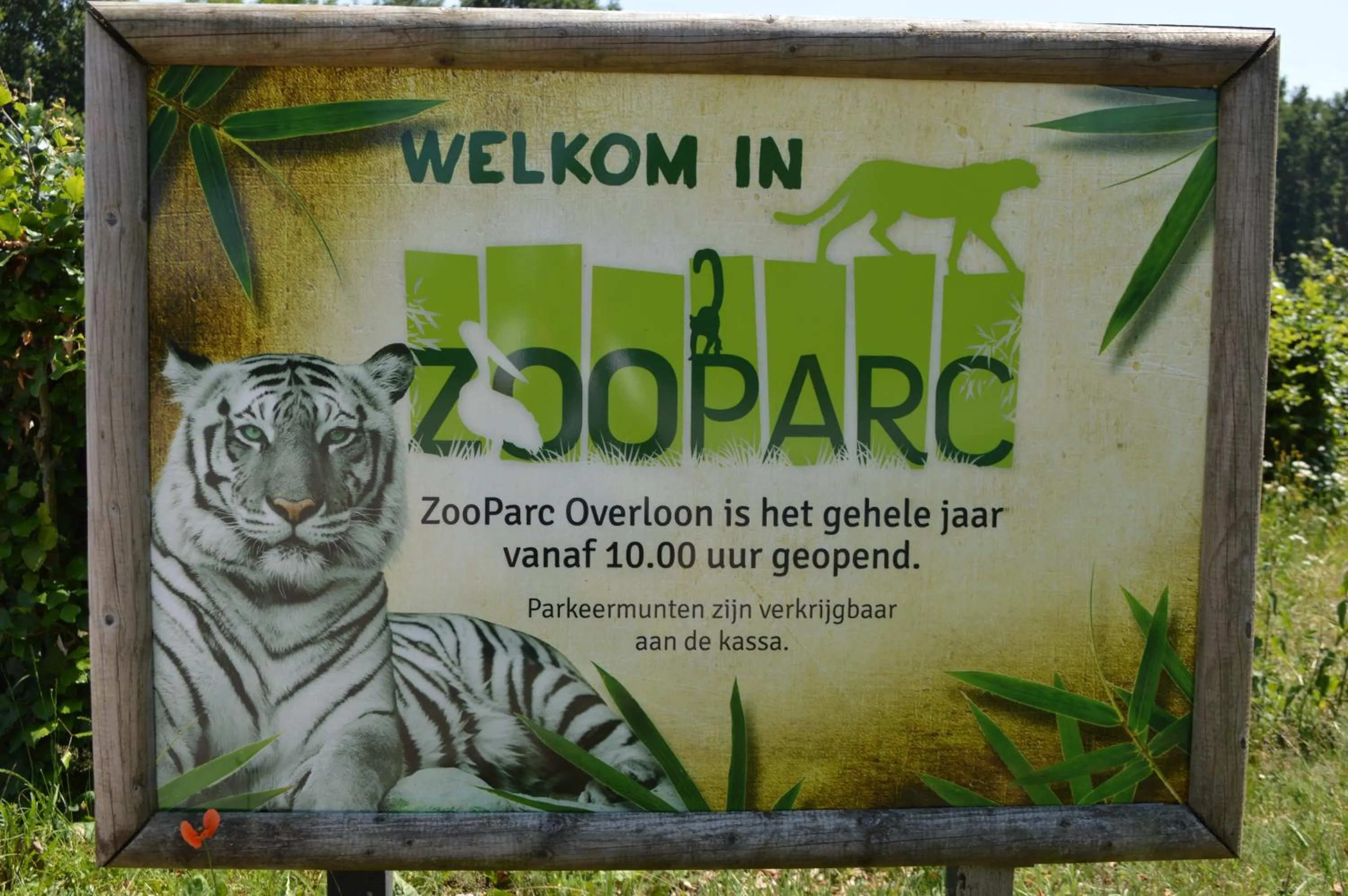 Decorative detail in De Martiene Plats - Bed & Breakfast