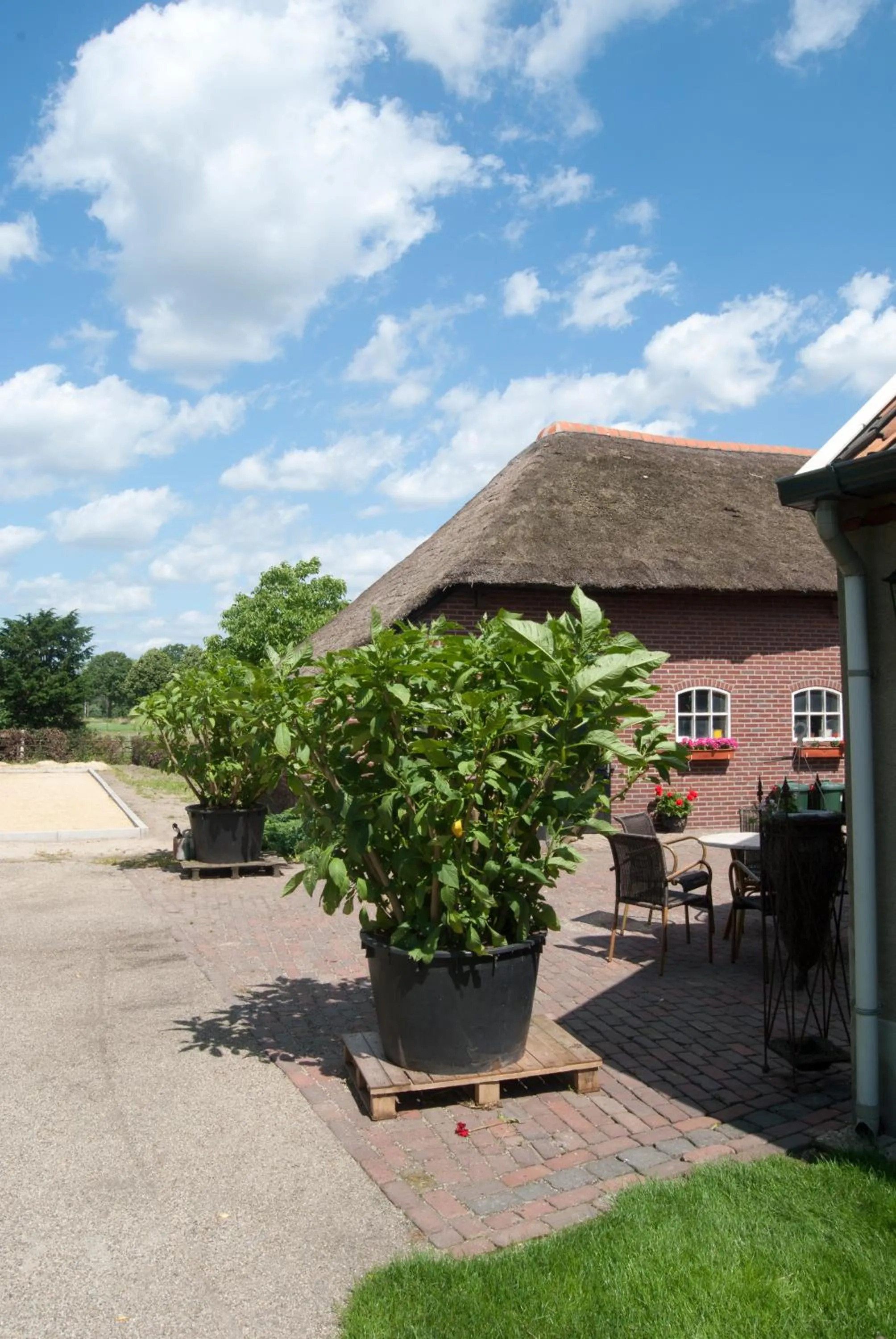 Other in De Martiene Plats - Bed & Breakfast