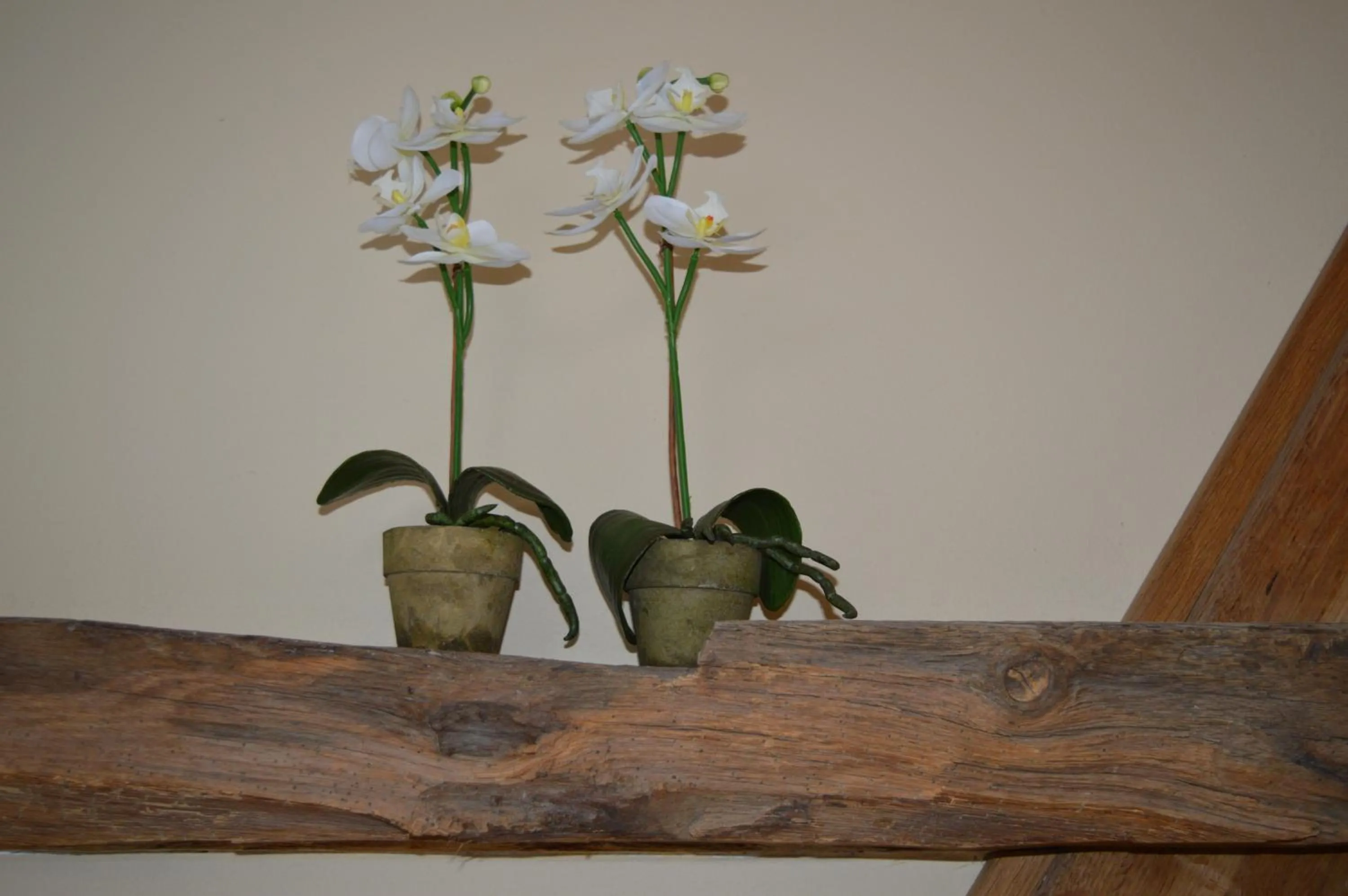 Decorative detail in De Martiene Plats - Bed & Breakfast