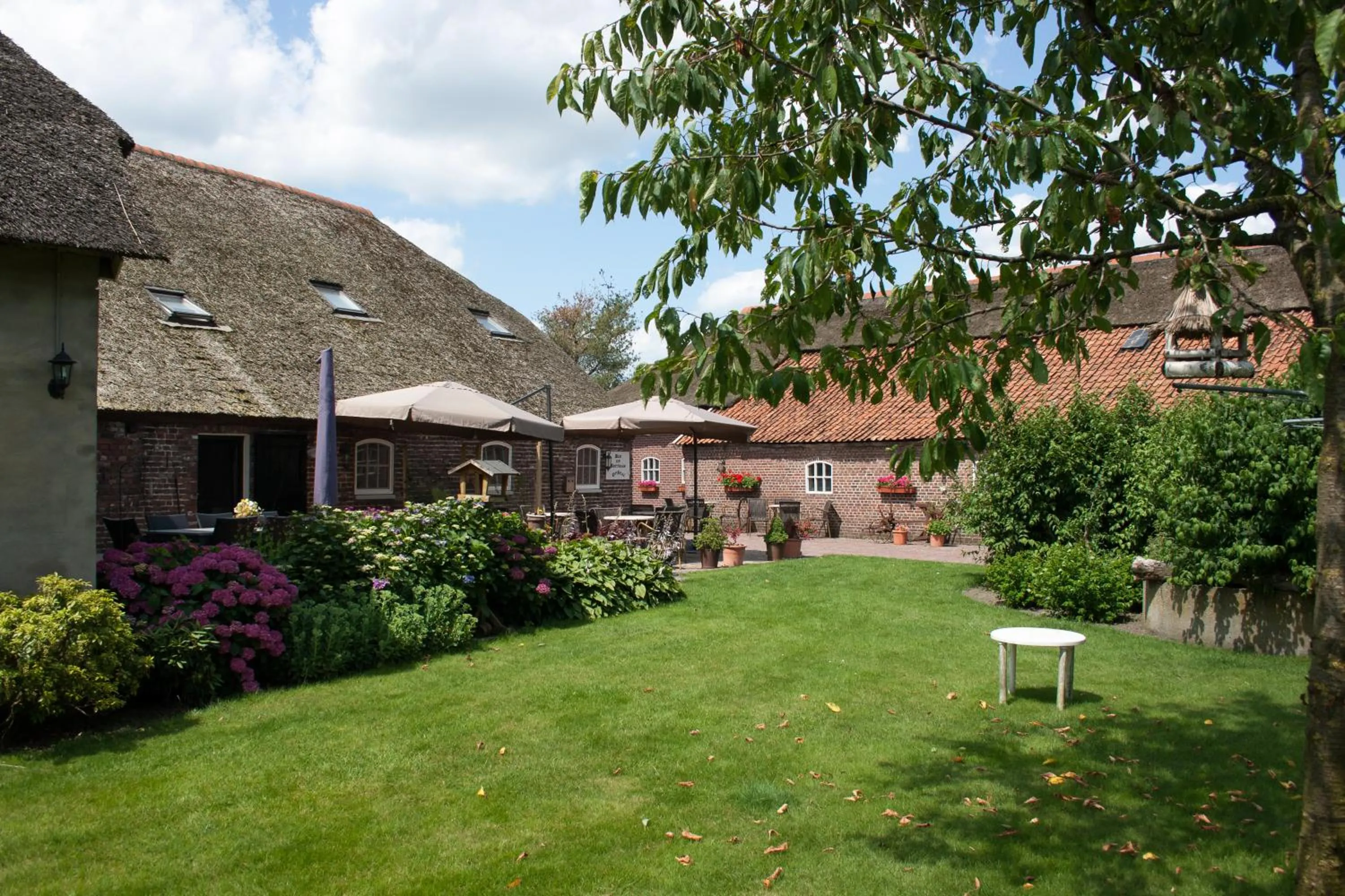 Garden in De Martiene Plats - Bed & Breakfast