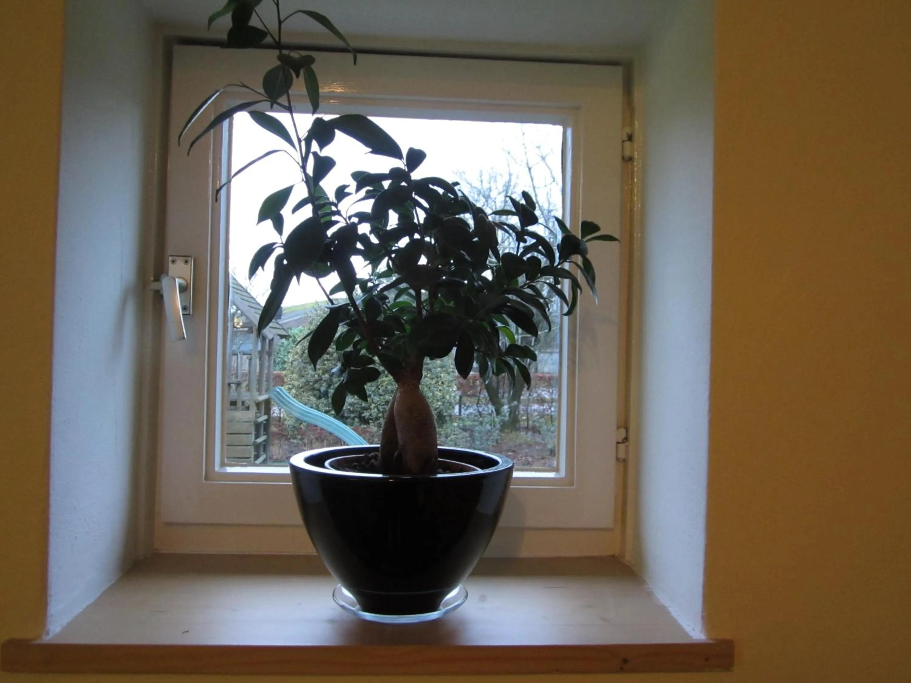 Decorative detail in De Martiene Plats - Bed & Breakfast