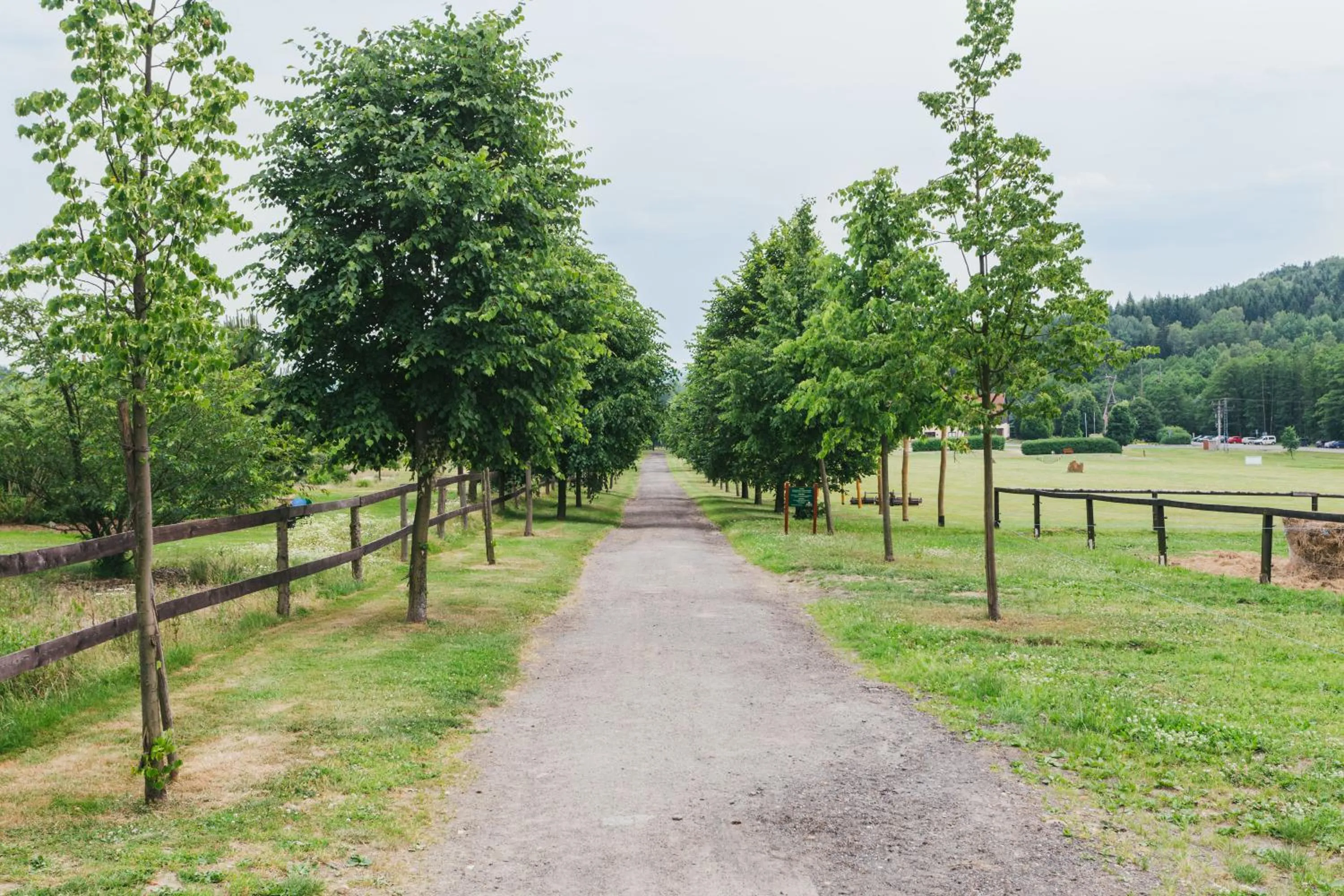 Natural landscape in Resort Malevil