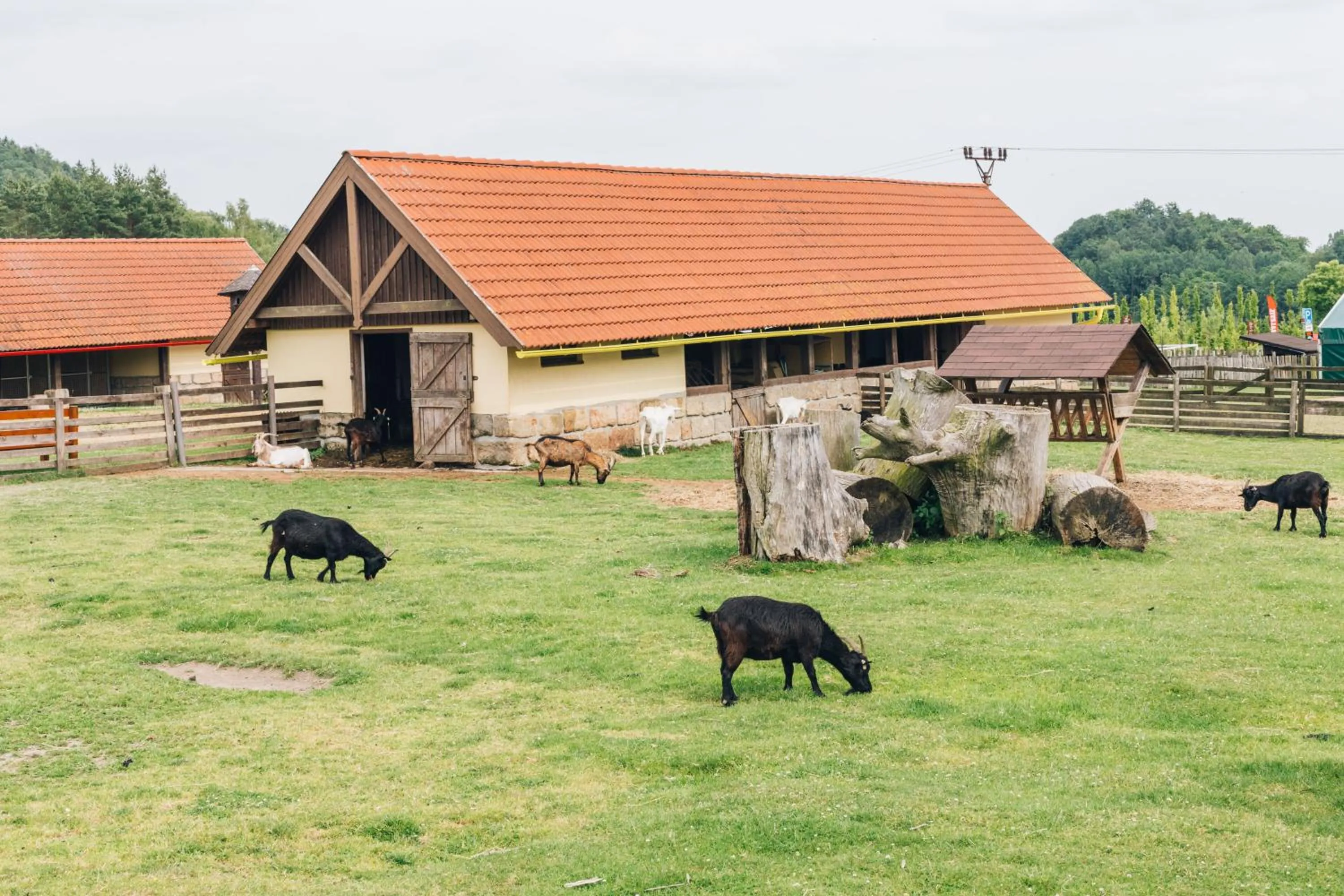 Day in Resort Malevil