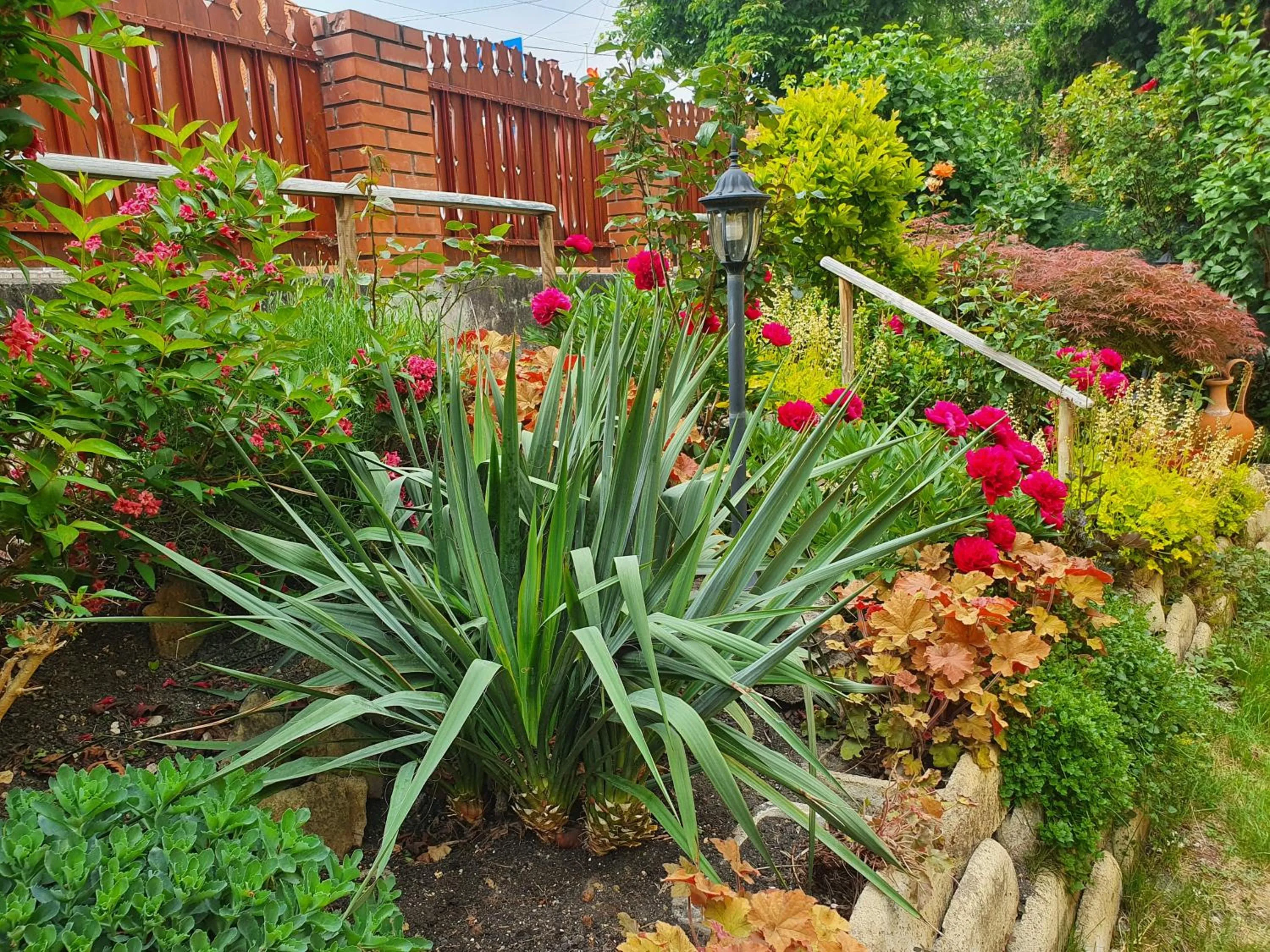 Garden in Apart Júlia Villa