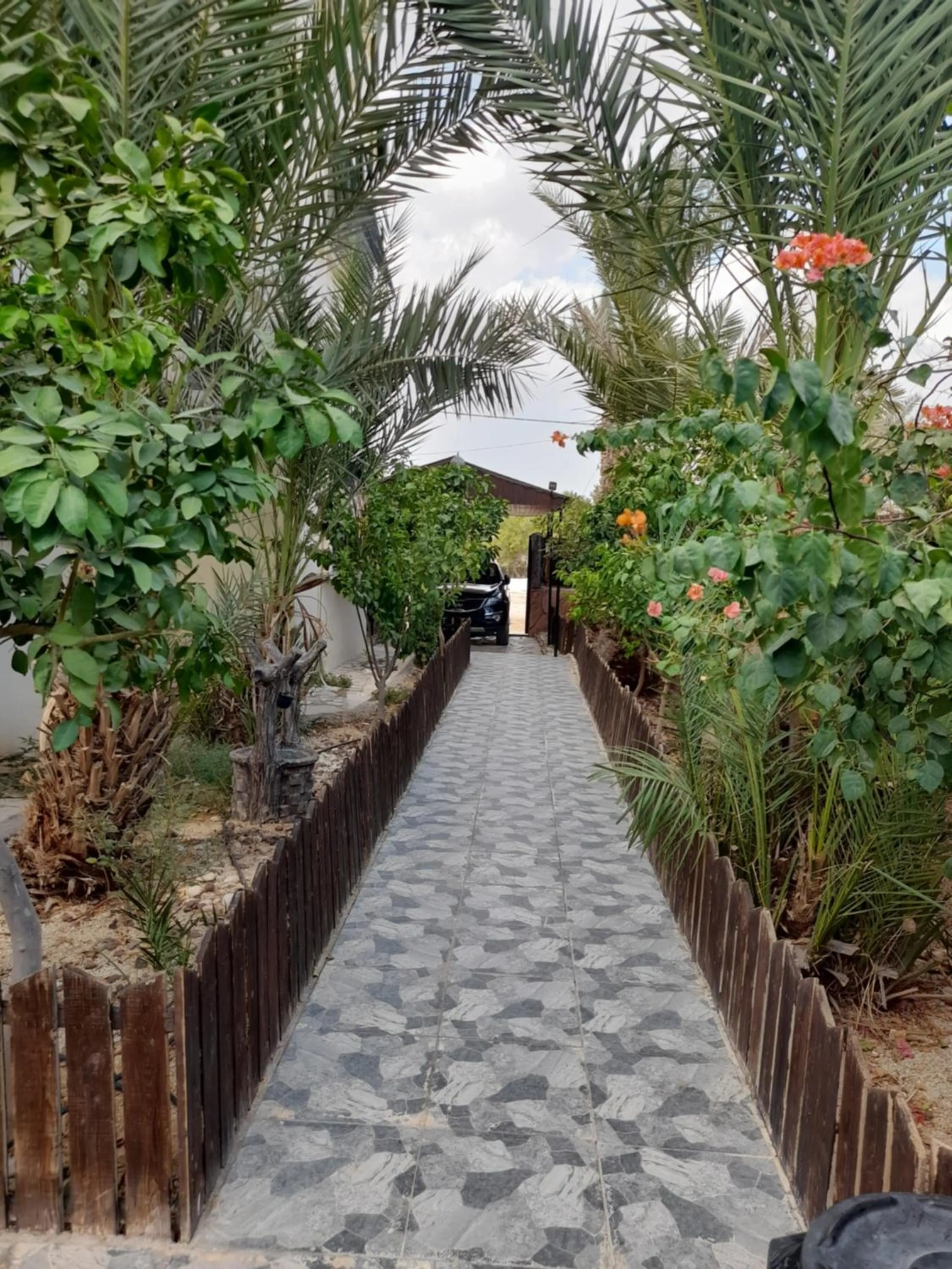 Spring in Magtas Hotel