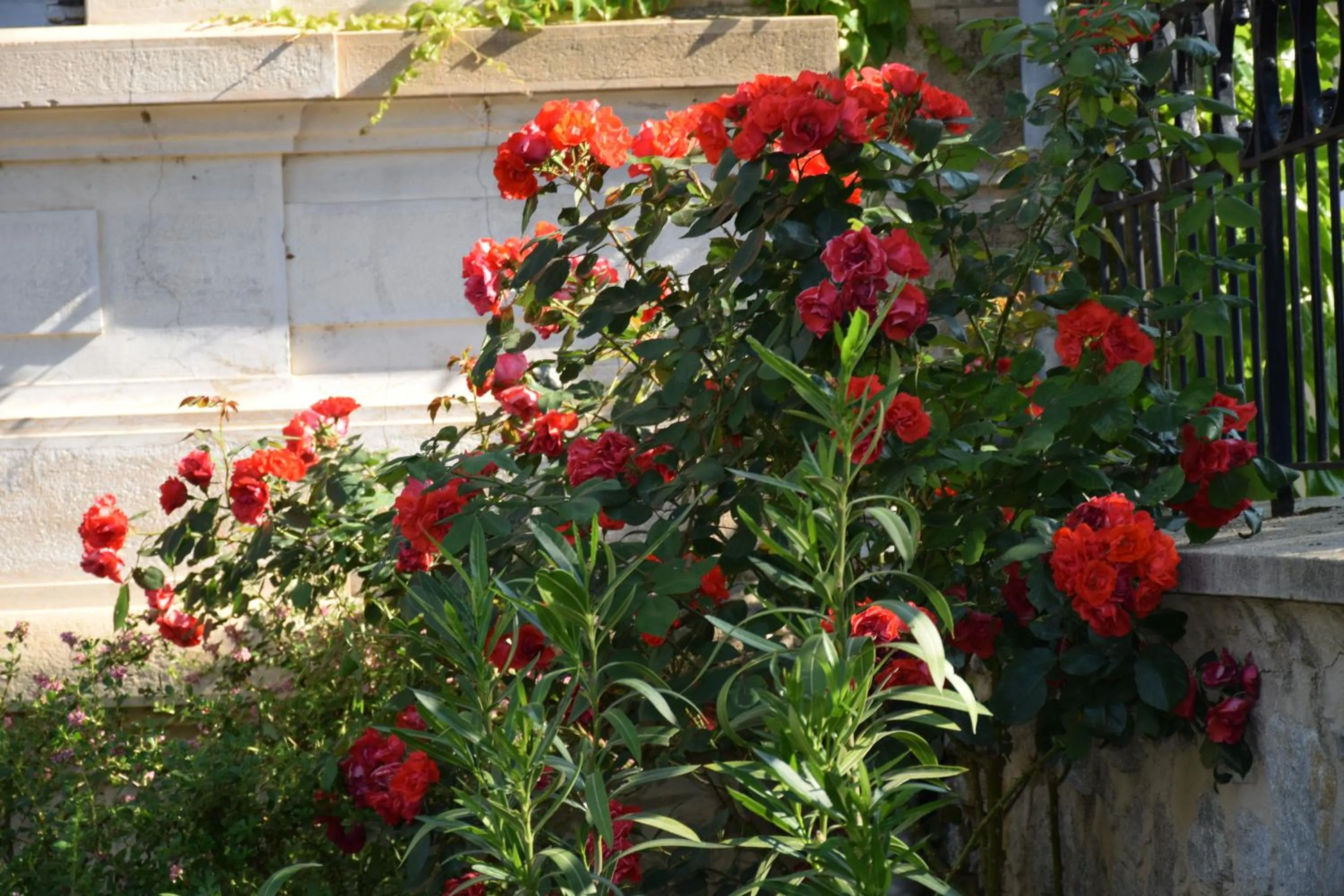 Garden in CLOCHI-CLOCHA