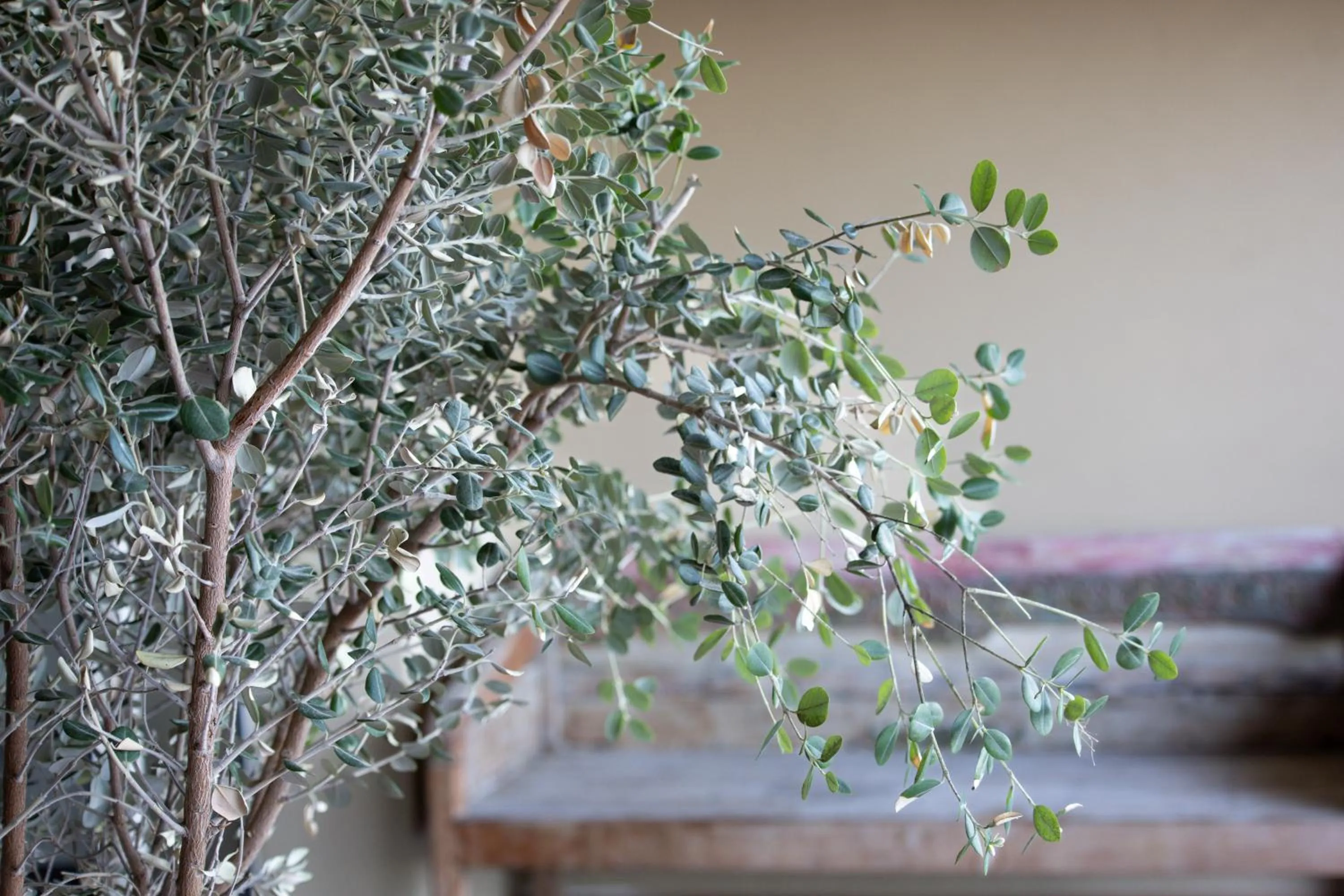 Patio in La Florentine