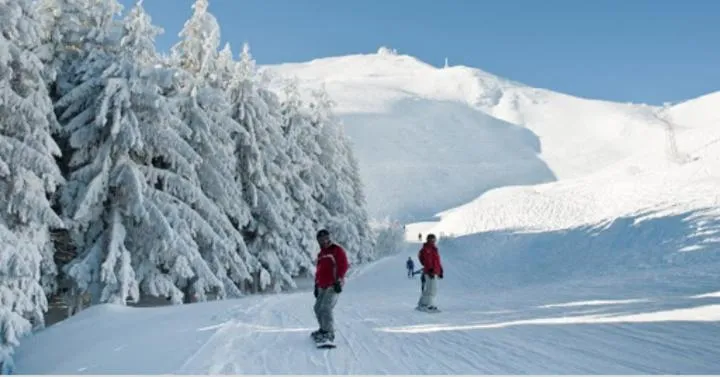Winter in hotel Bologna