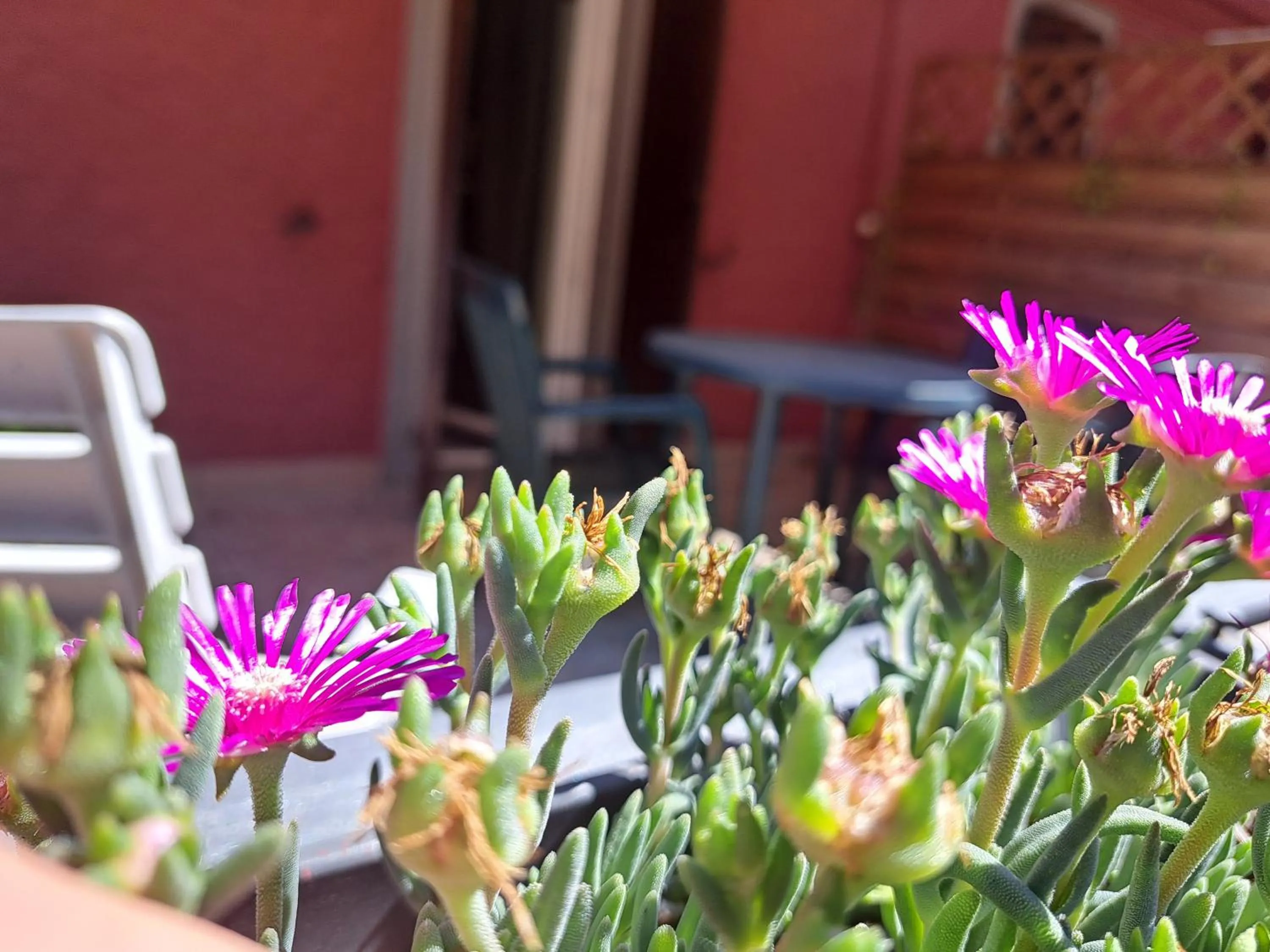 Property building in hotel Bologna