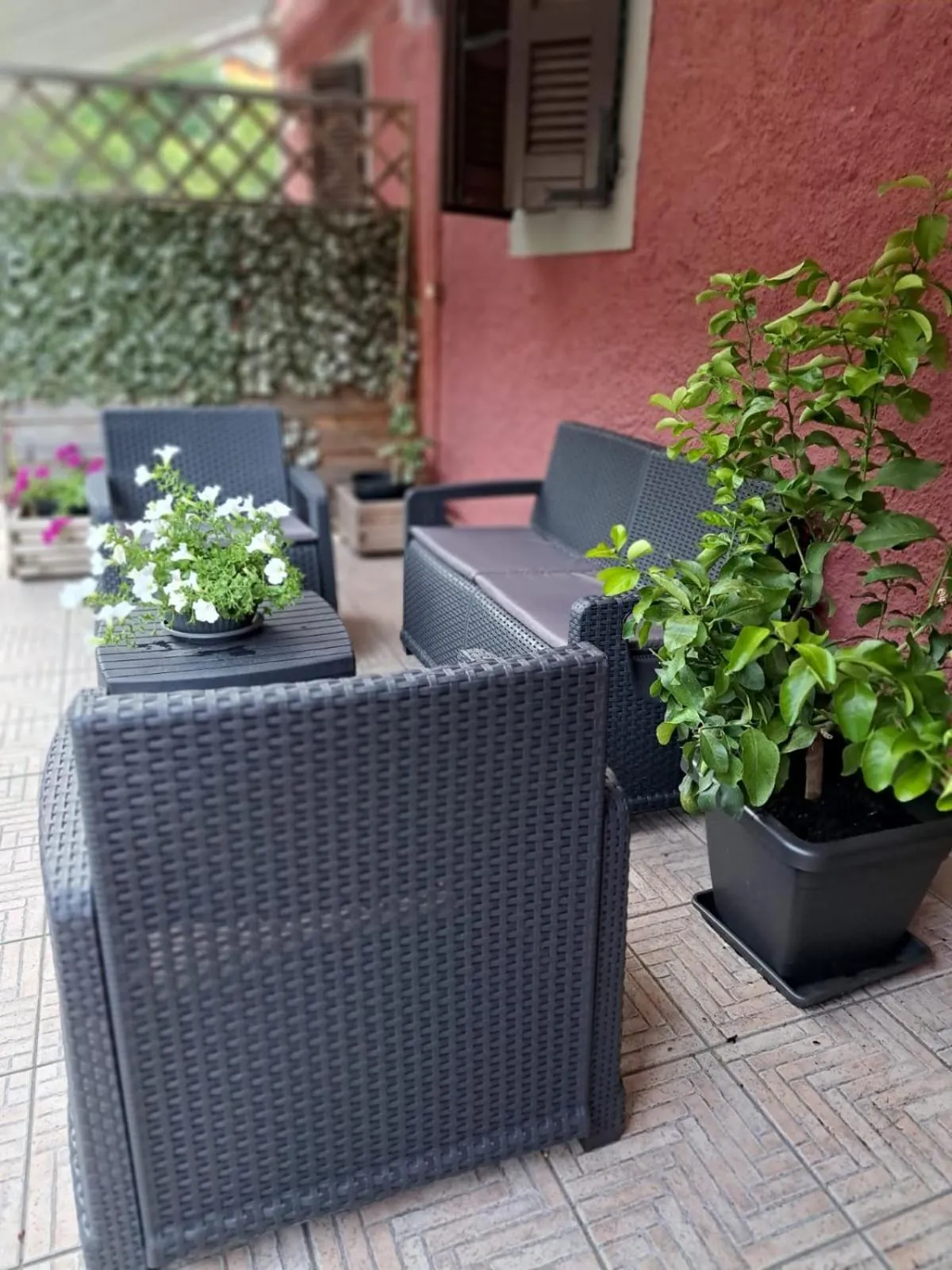 Patio in hotel Bologna
