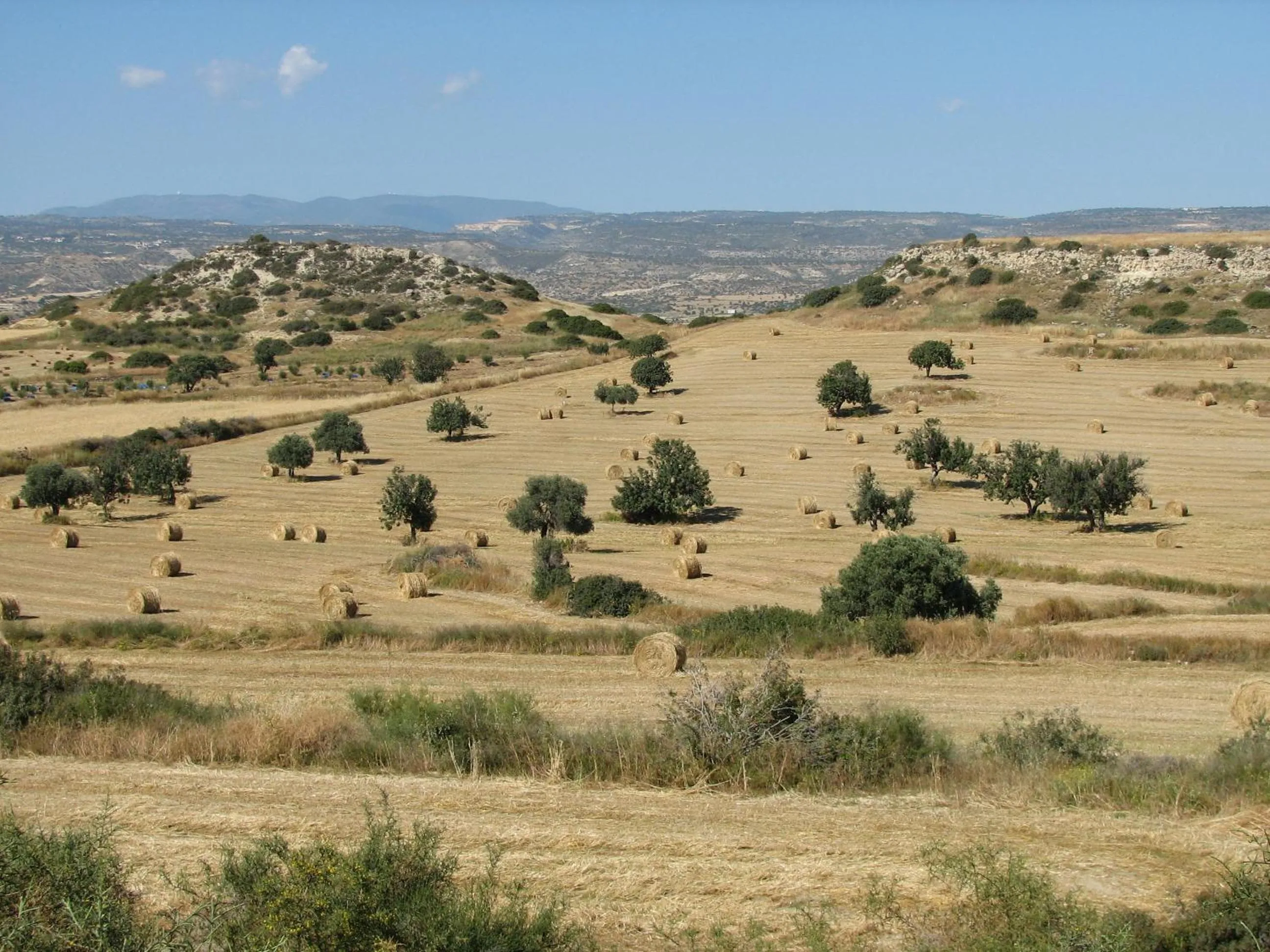 Natural landscape in Hill View Hotel Apartments