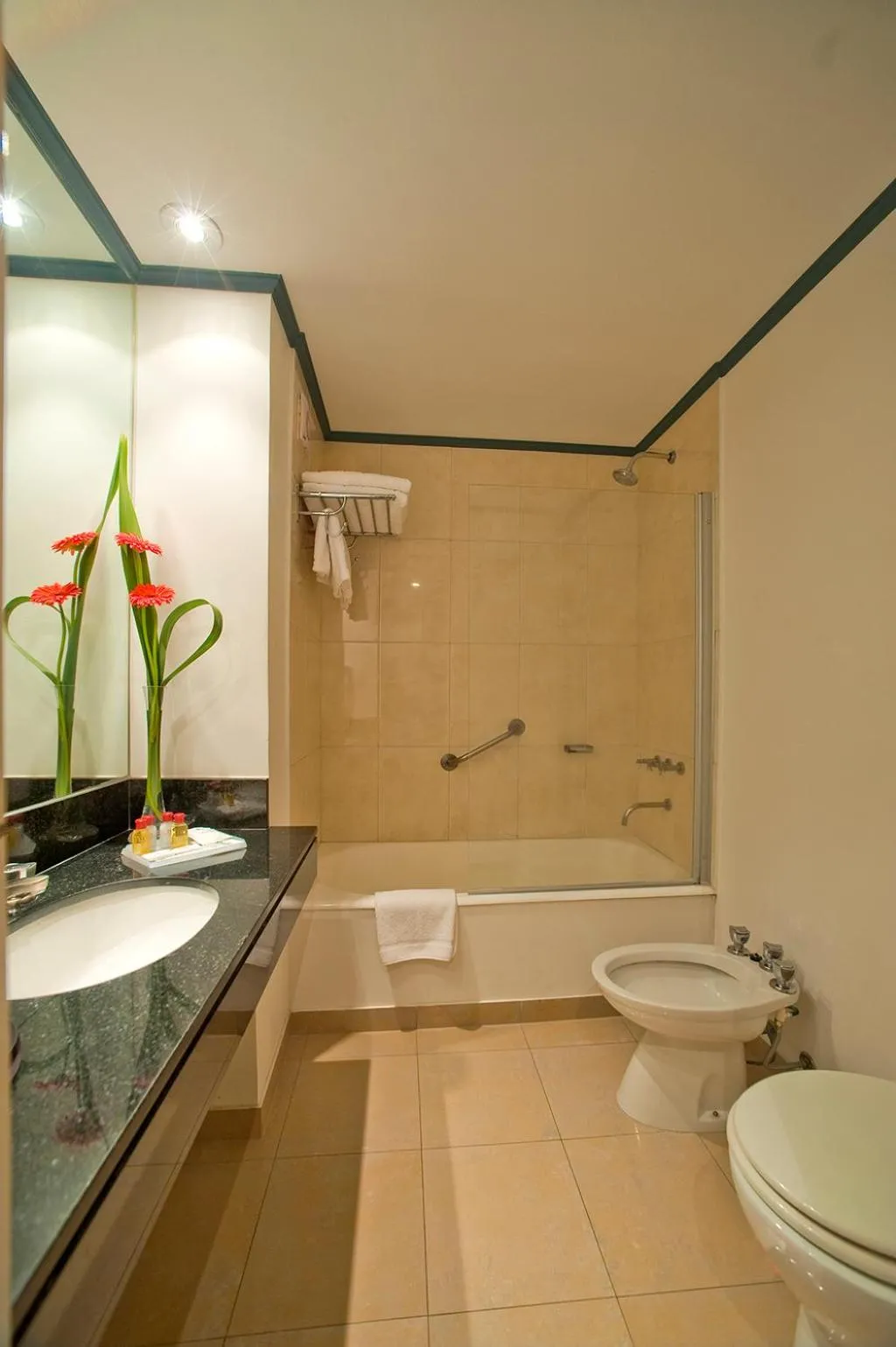 Bathroom in Hotel Libertador