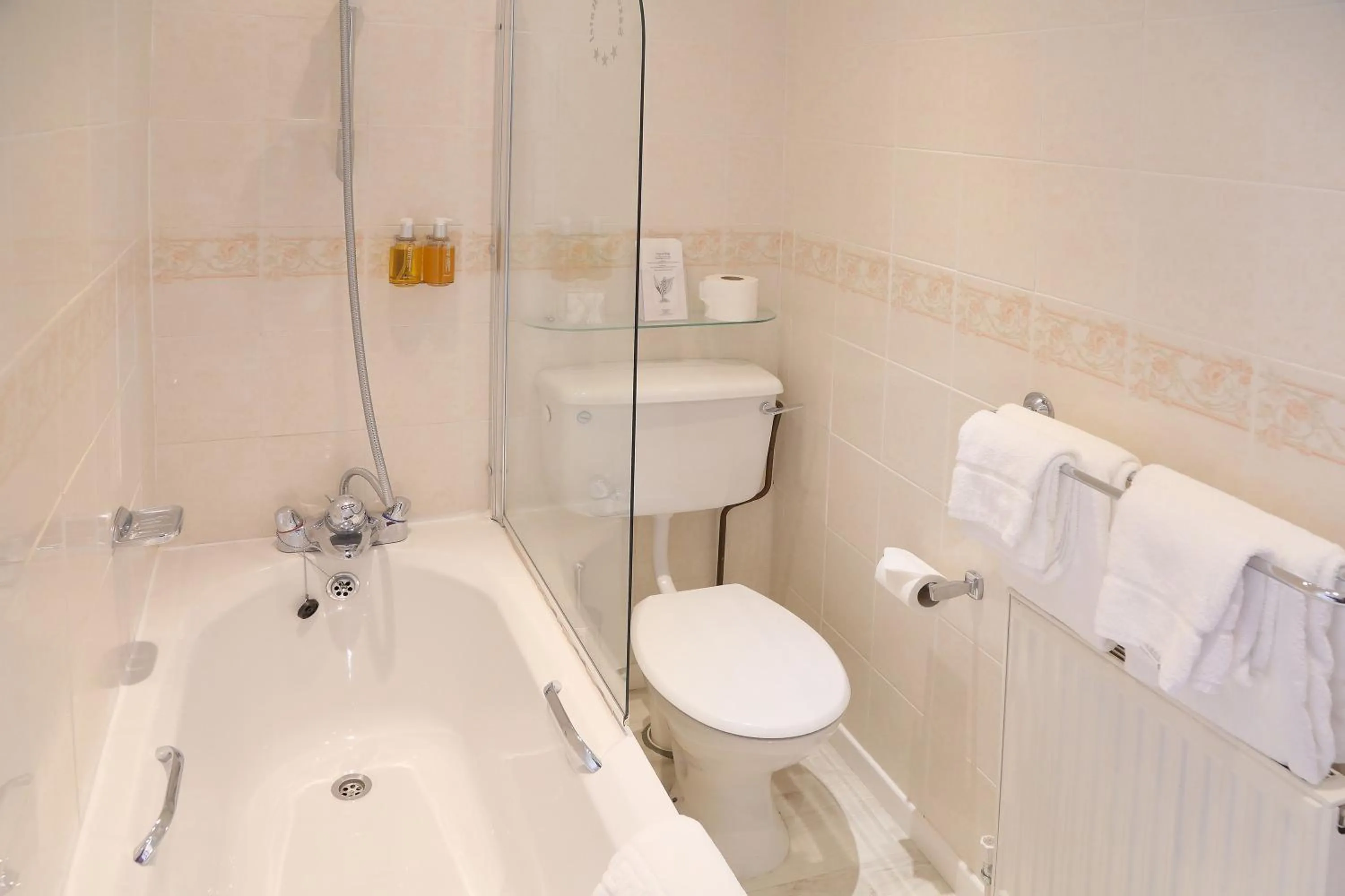 Toilet in Saxonville Hotel