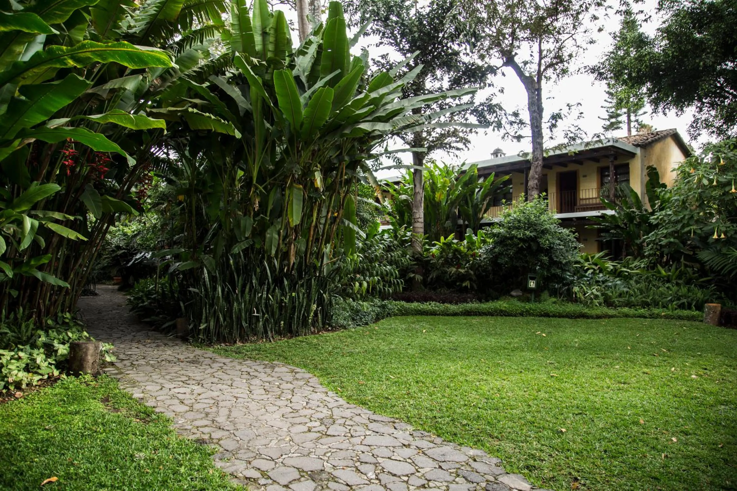 Garden in Hotel Las Farolas