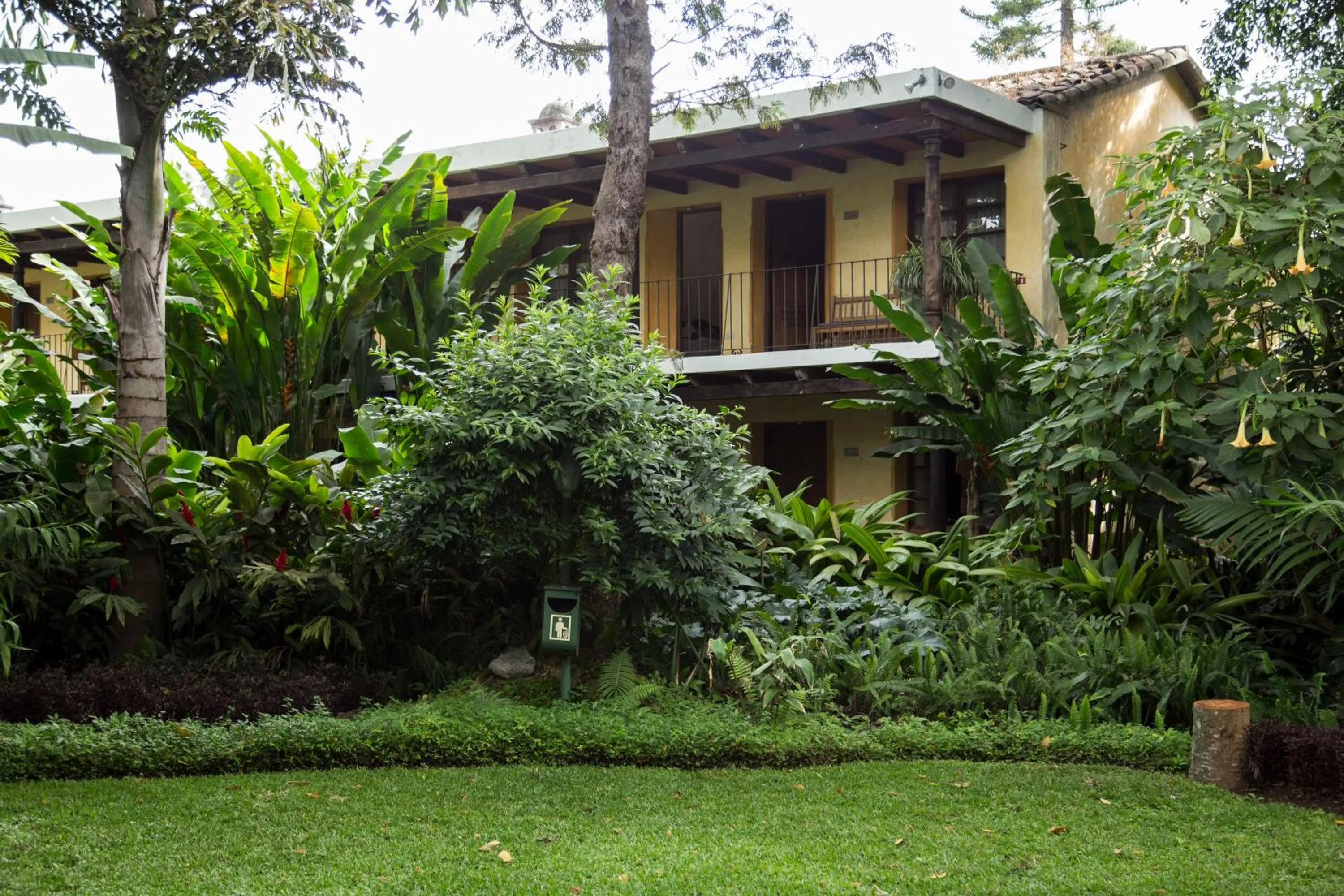 Garden in Hotel Las Farolas