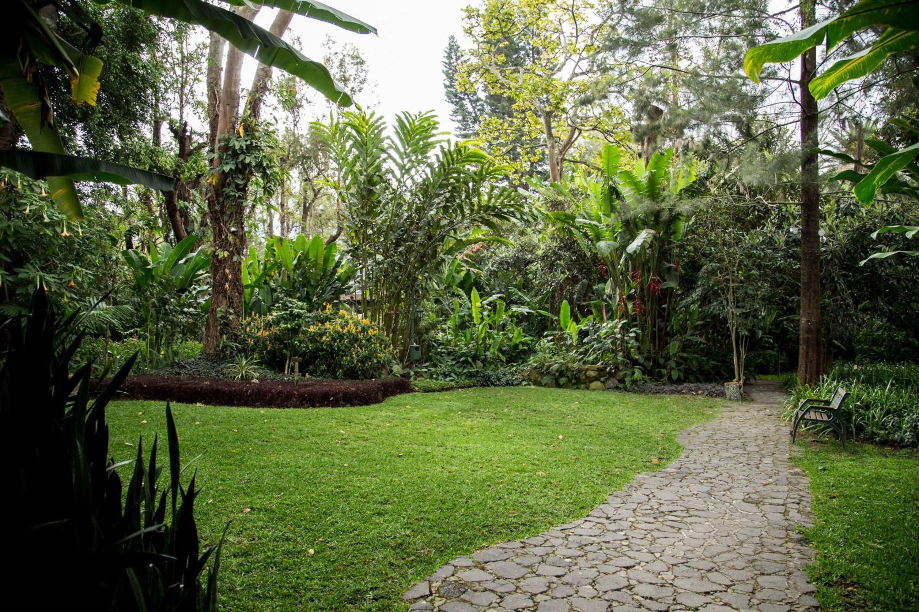Garden in Hotel Las Farolas
