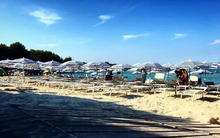 B&B Luxury Apartments