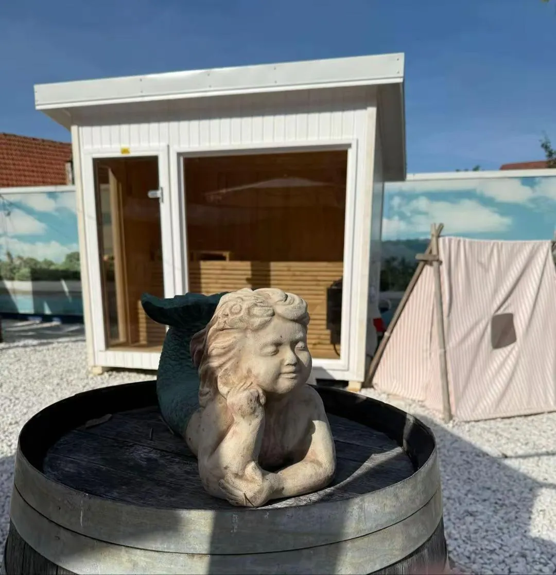 Sauna in Palatul Brukenthal Avrig