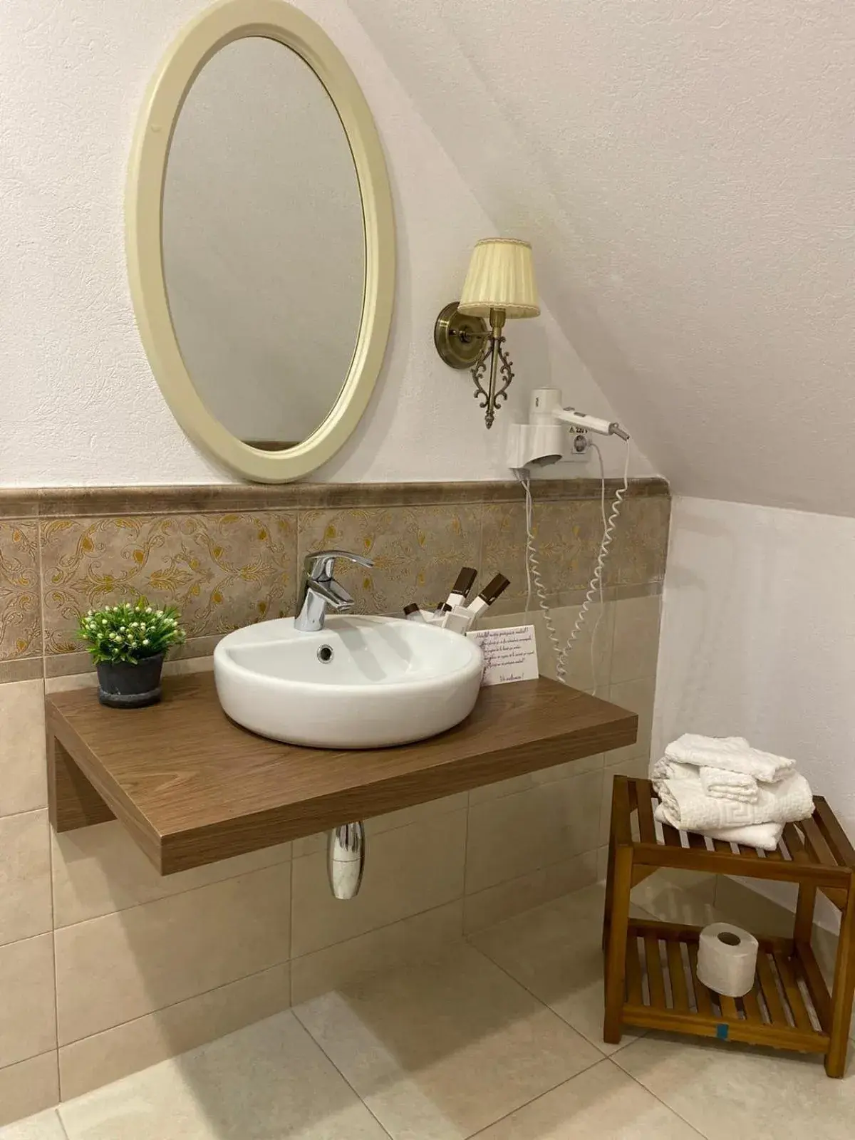 Attic Double Room 3*** in Palatul Brukenthal Avrig Attic Double Room 3*** in Palatul Brukenthal Avrig