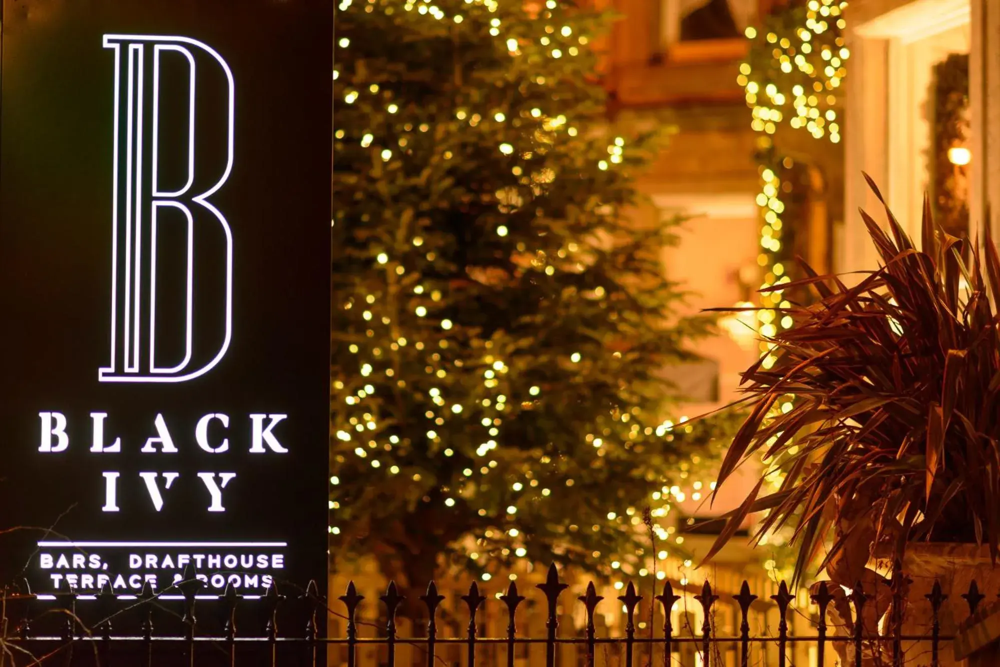Facade/entrance in Black Ivy Facade/entrance in Black Ivy
