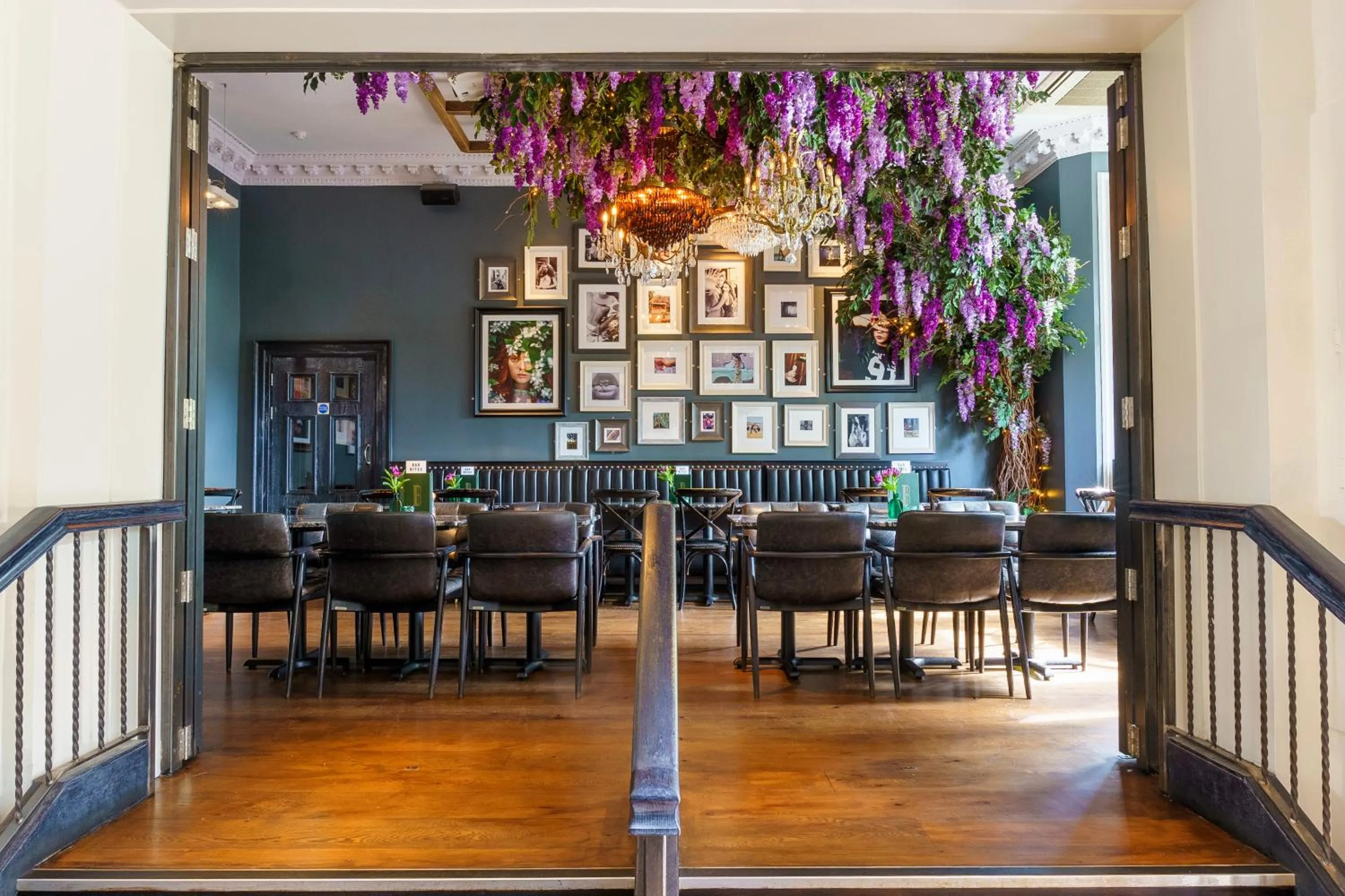 Restaurant/places to eat in Black Ivy