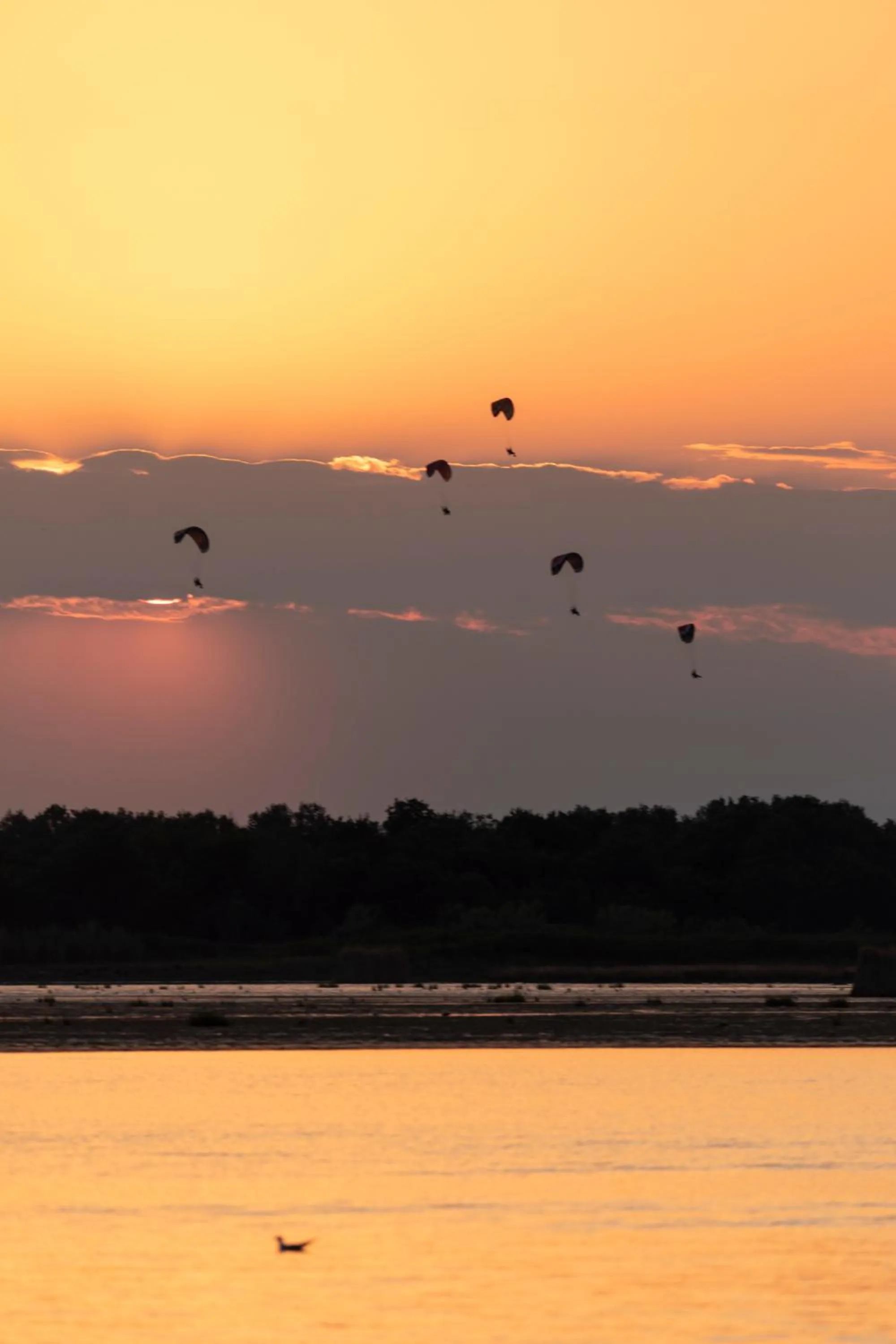 Natural landscape in Hotel Golf ***S