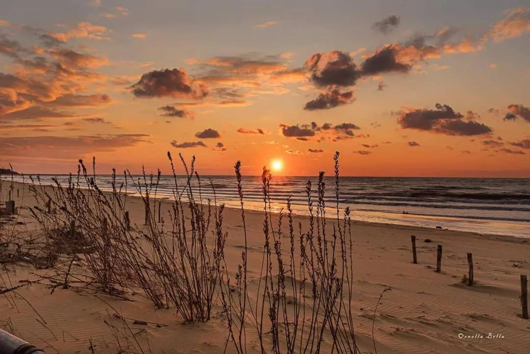 Natural landscape in Hotel Golf ***S