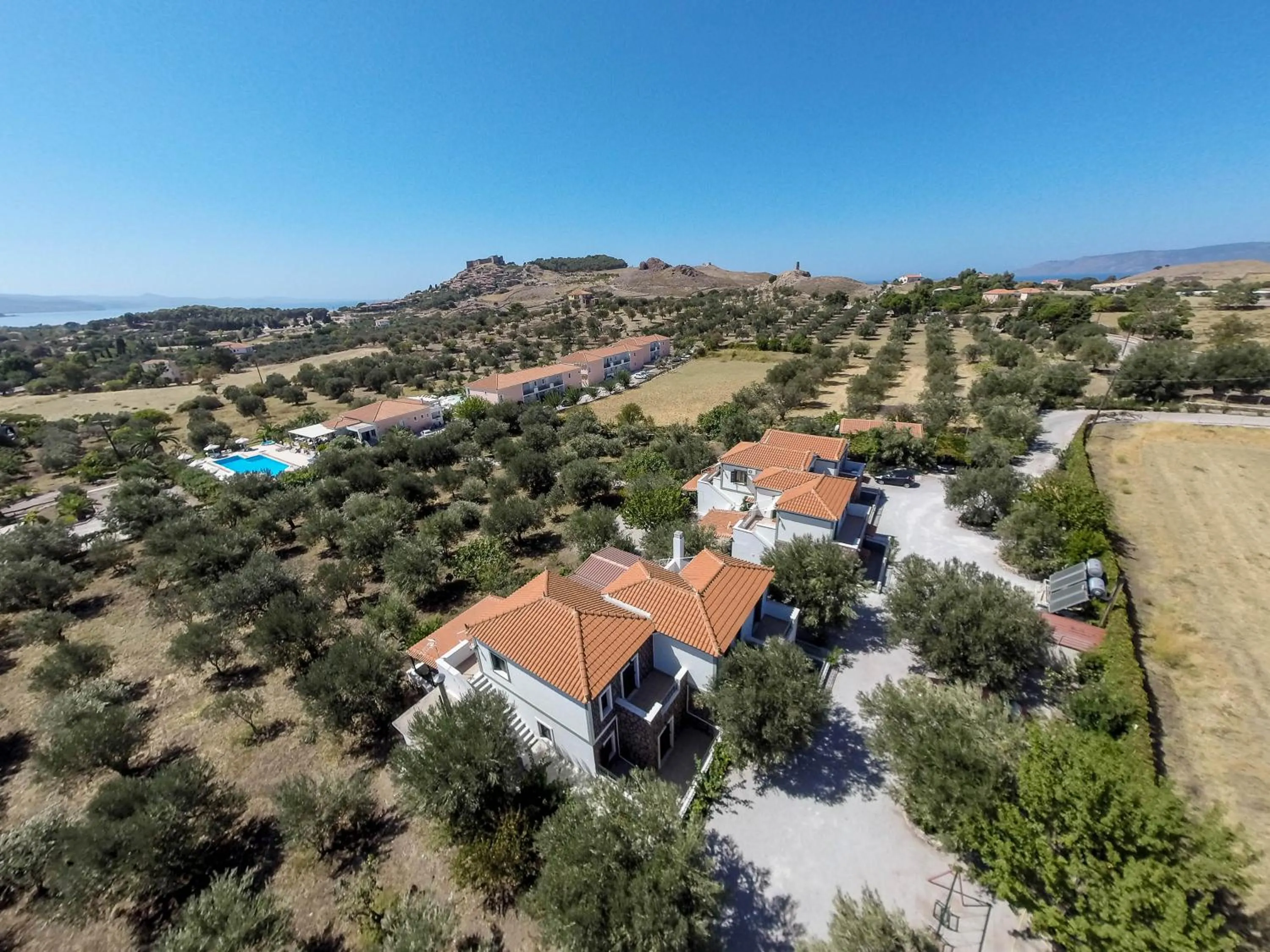 Elea Houses