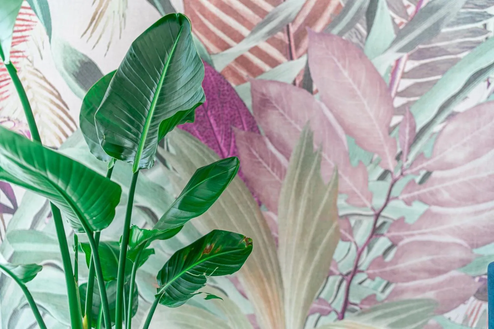 Lobby or reception in Hotel Pigalle