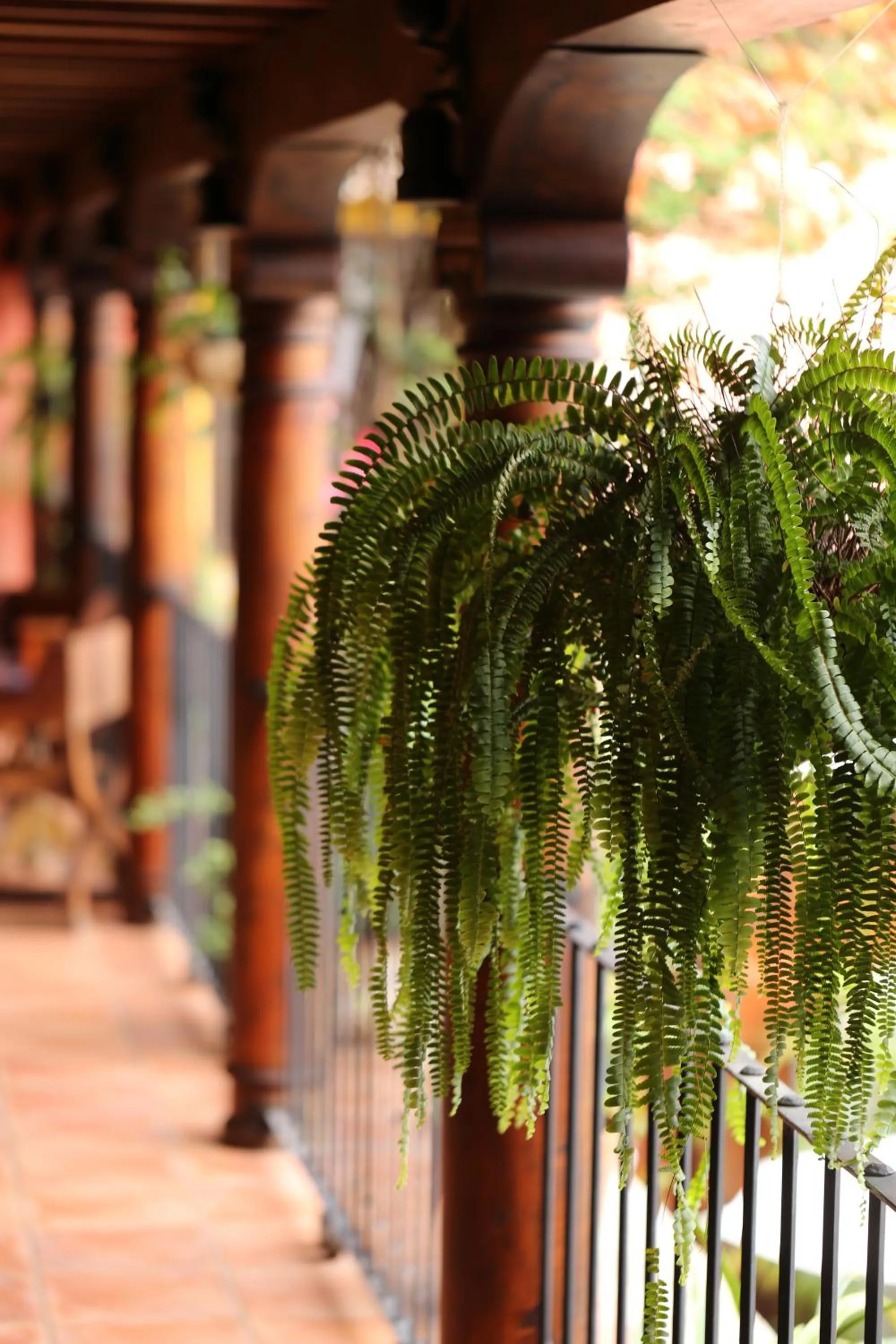 Decorative detail in Hotel Palacio de Doña Beatriz