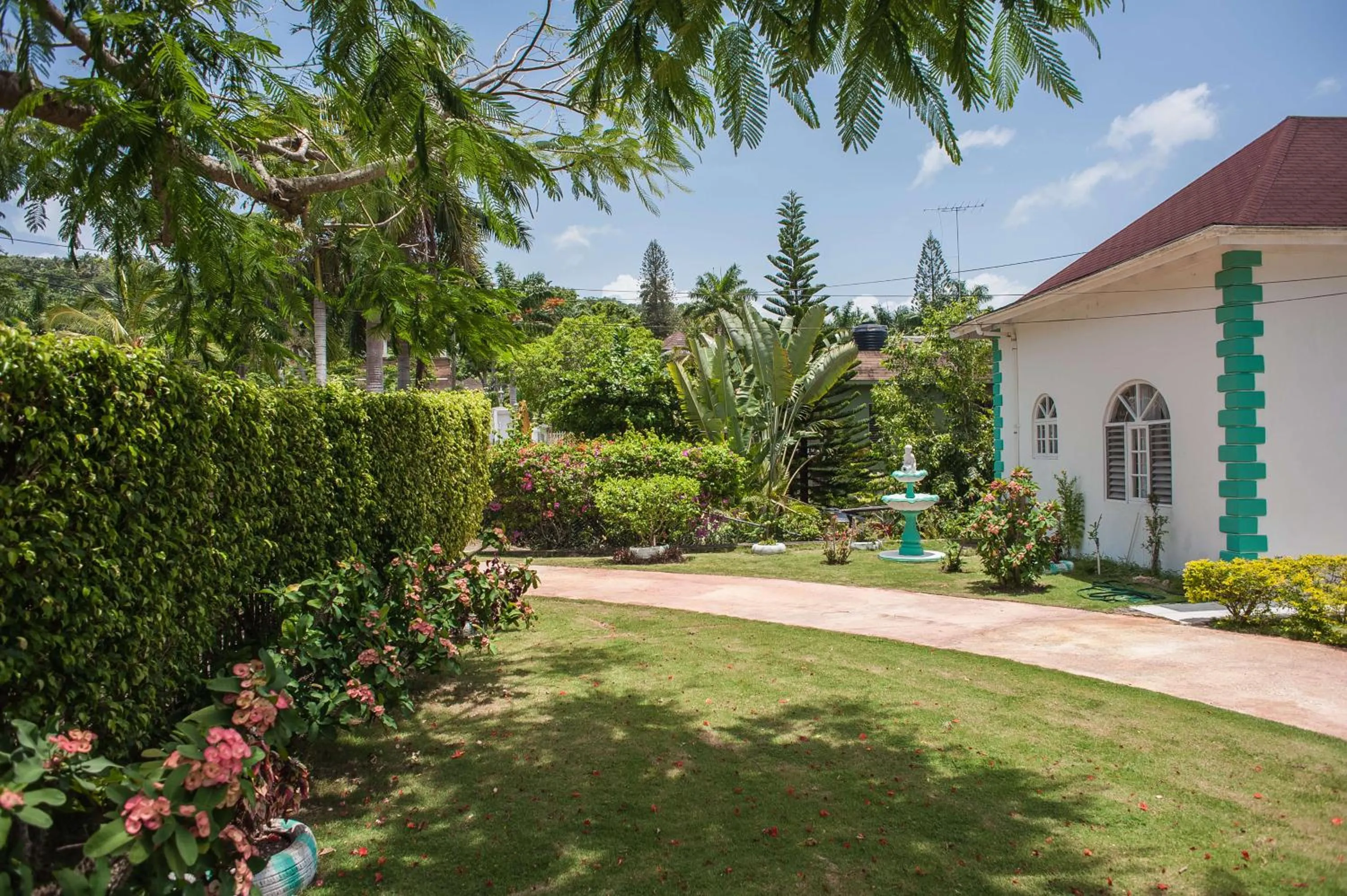 Garden view in Diamond Villa Guest House