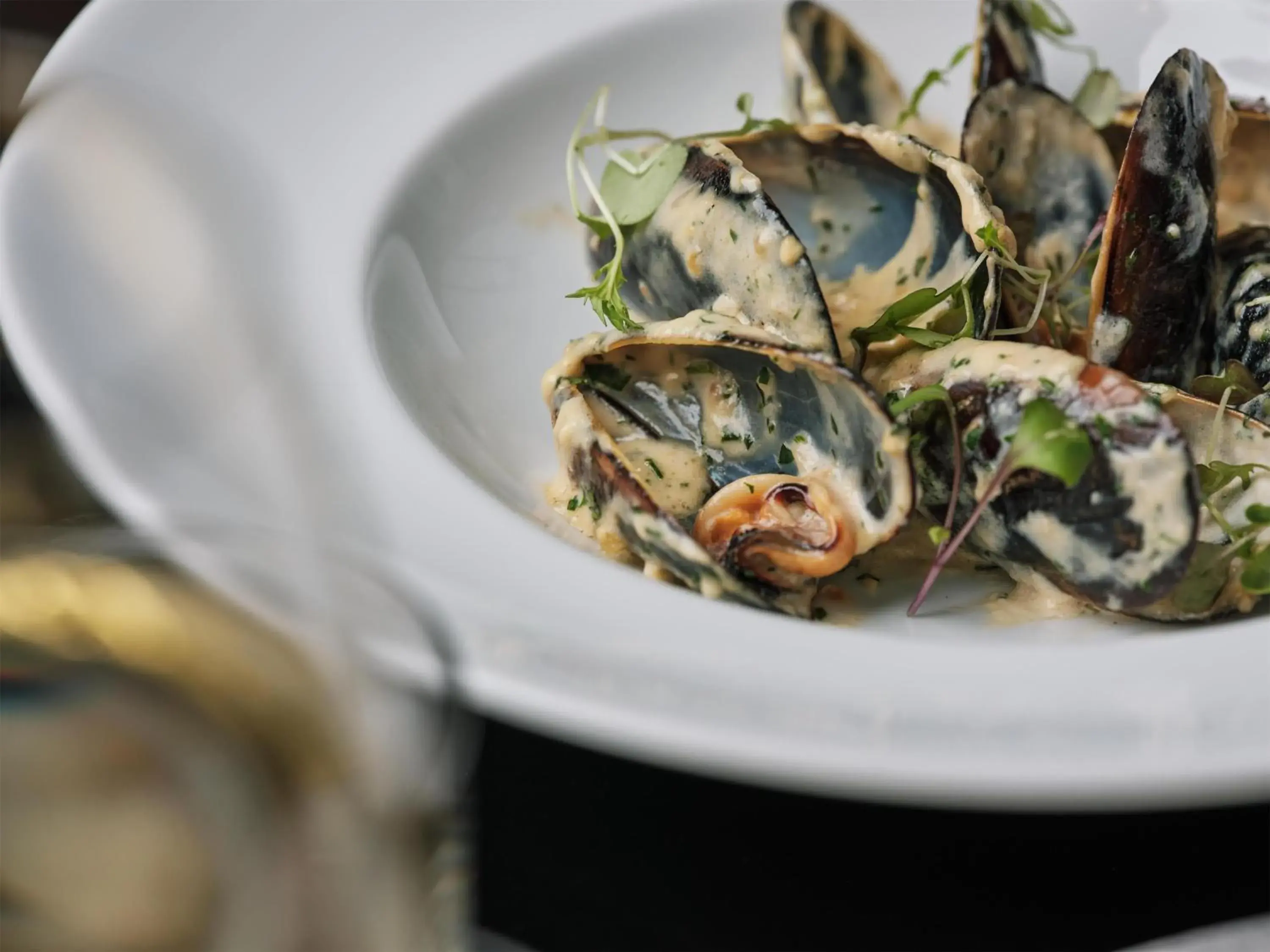 Restaurant/places to eat in Radisson On Flagstaff Gardens Melbourne Restaurant/places to eat in Radisson On Flagstaff Gardens Melbourne