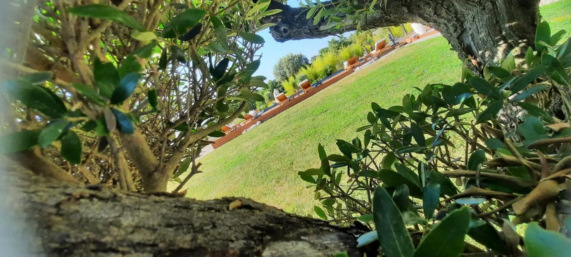 Swimming pool in Villa Otilia-Bed and Breakfast-Chambres d'hôtes en Provence