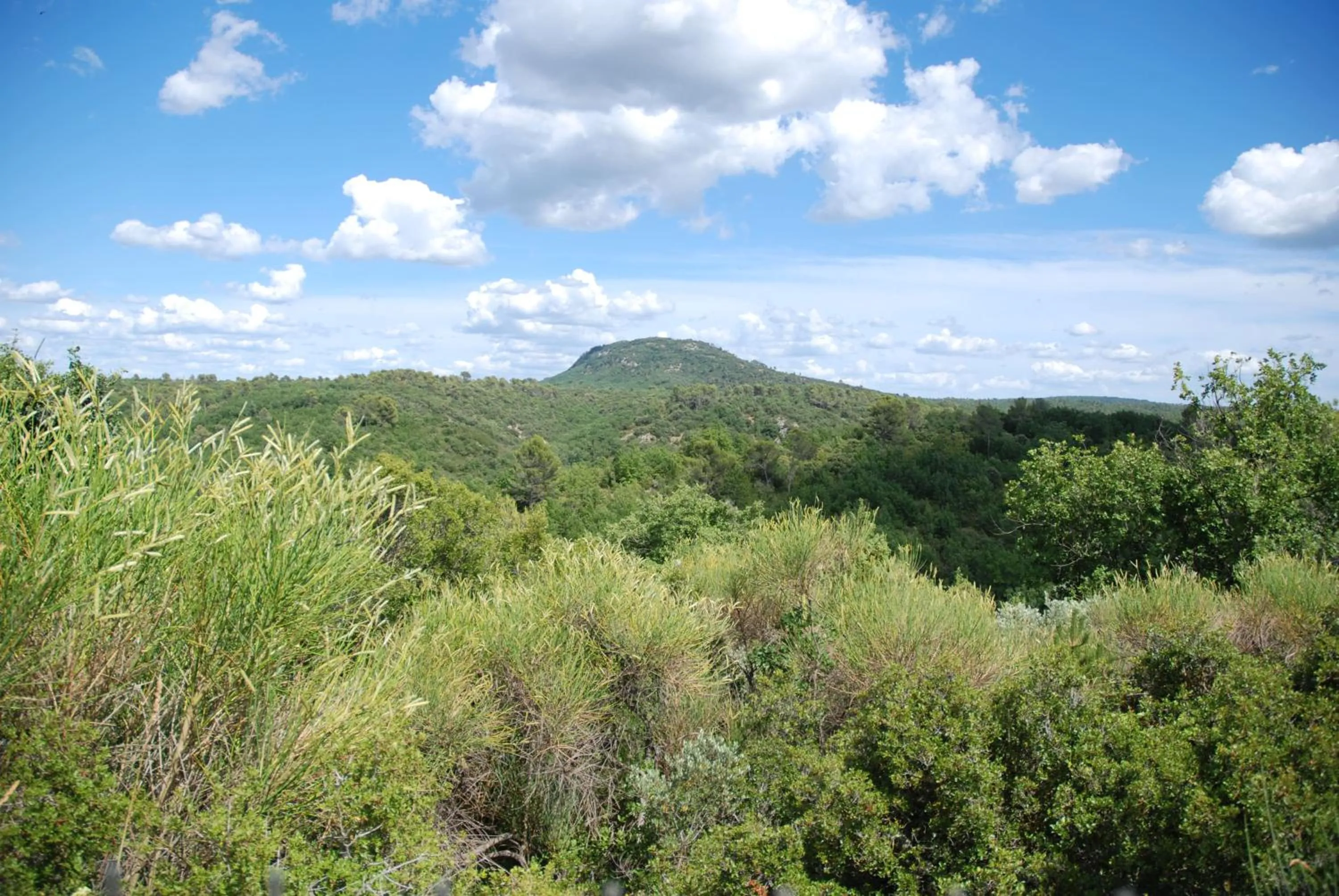 Garden in Villa Otilia-Bed and Breakfast-Chambres d'hôtes en Provence