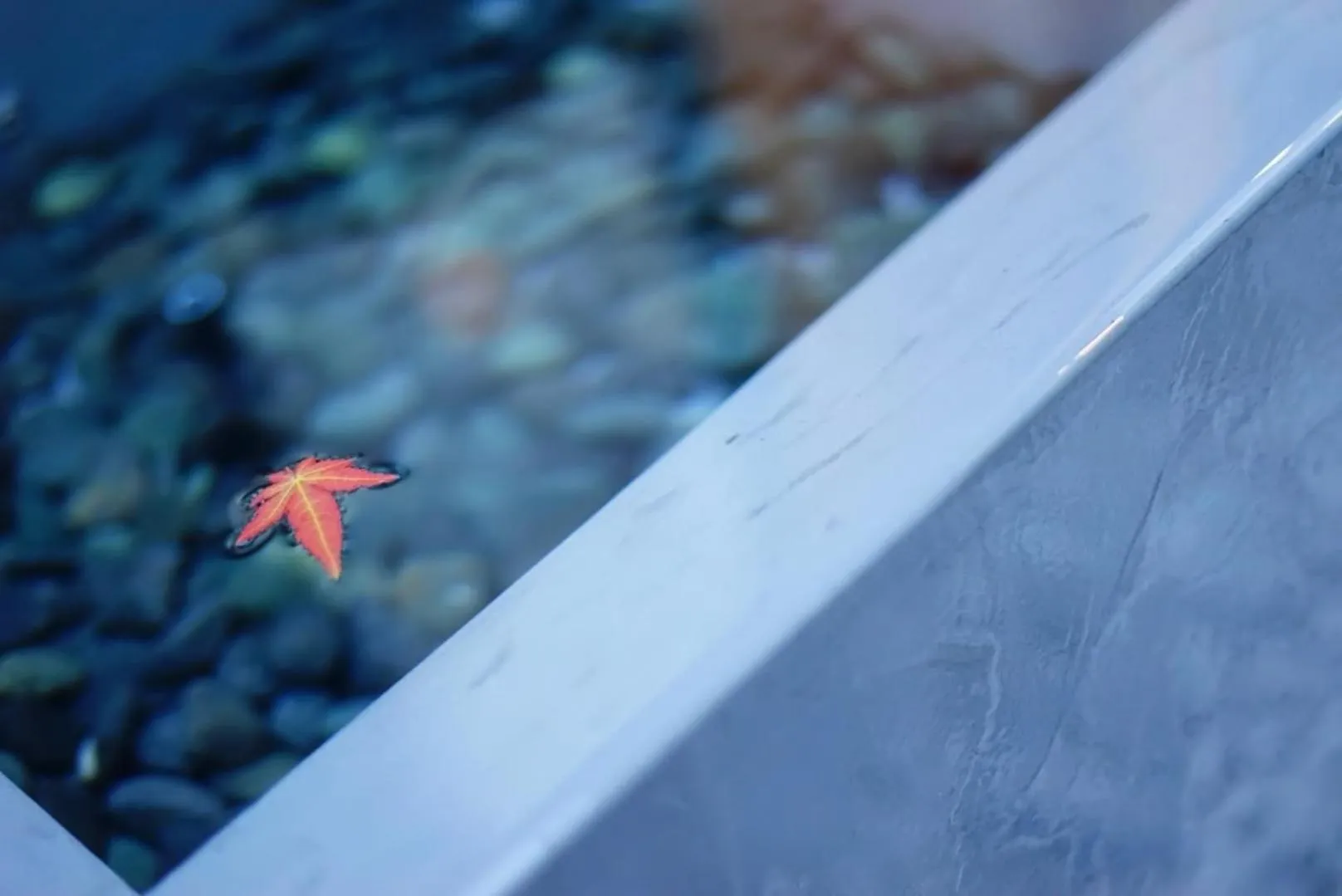 Day in Machiya Hotel YANAGI