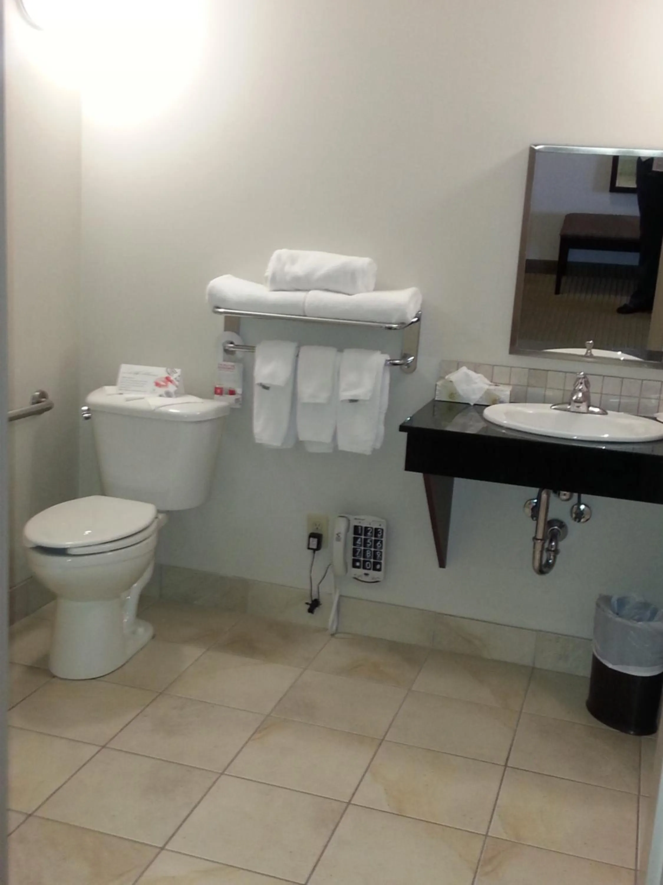 Bathroom in Ramada by Wyndham Olds