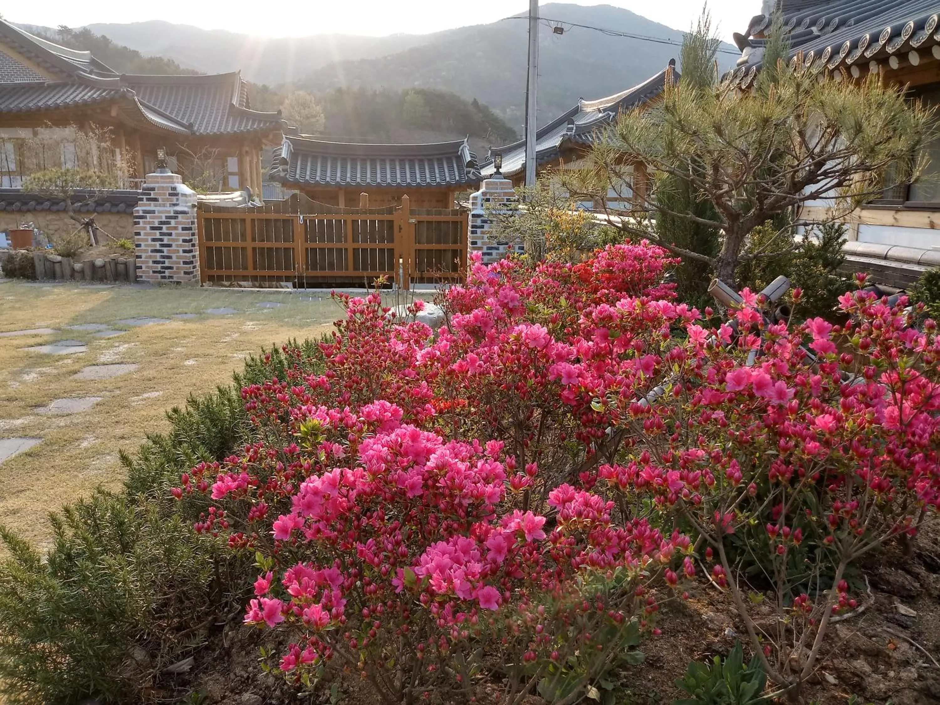 Mirinae Hanok Tradiational House