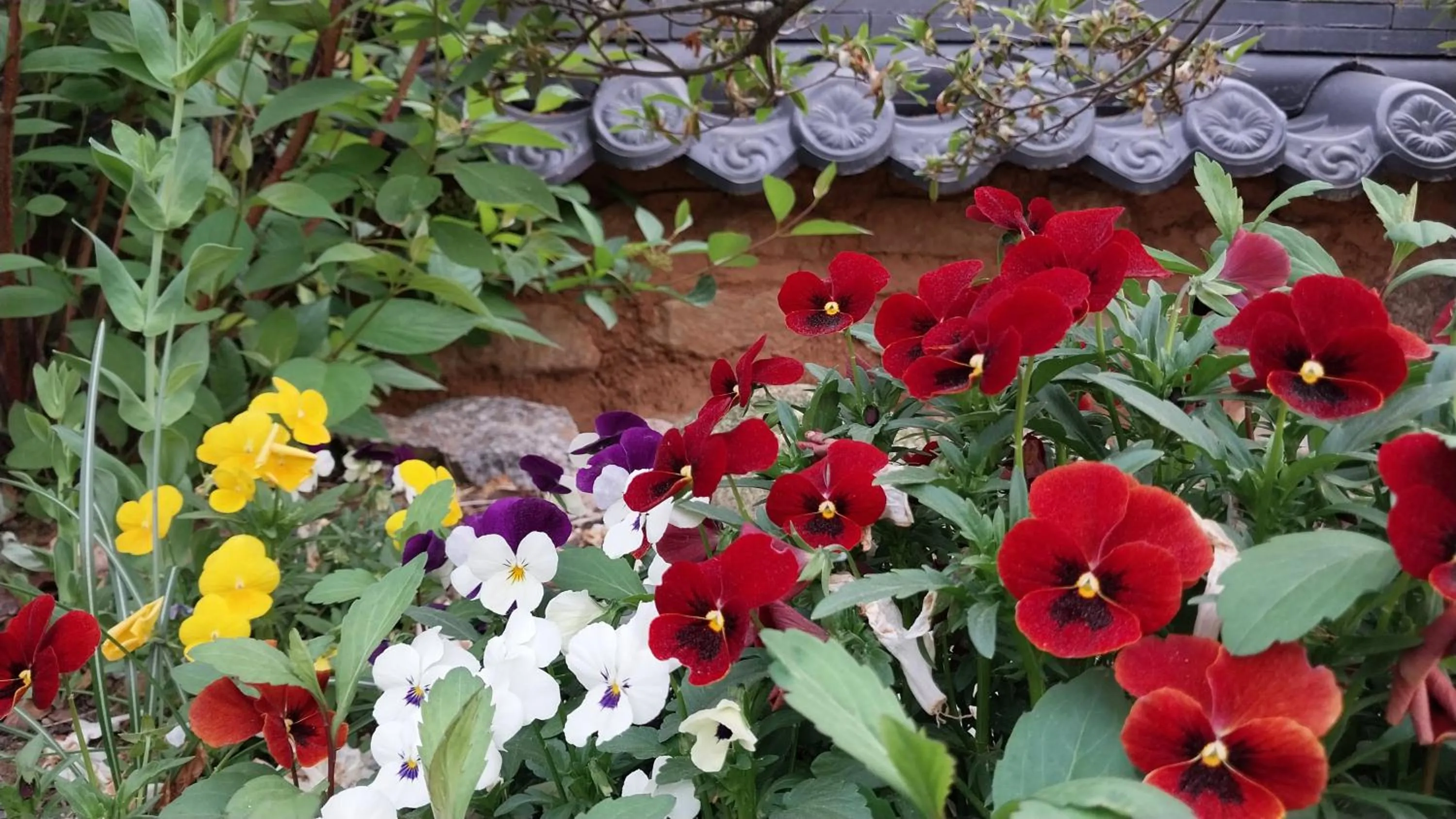 Mirinae Hanok Tradiational House